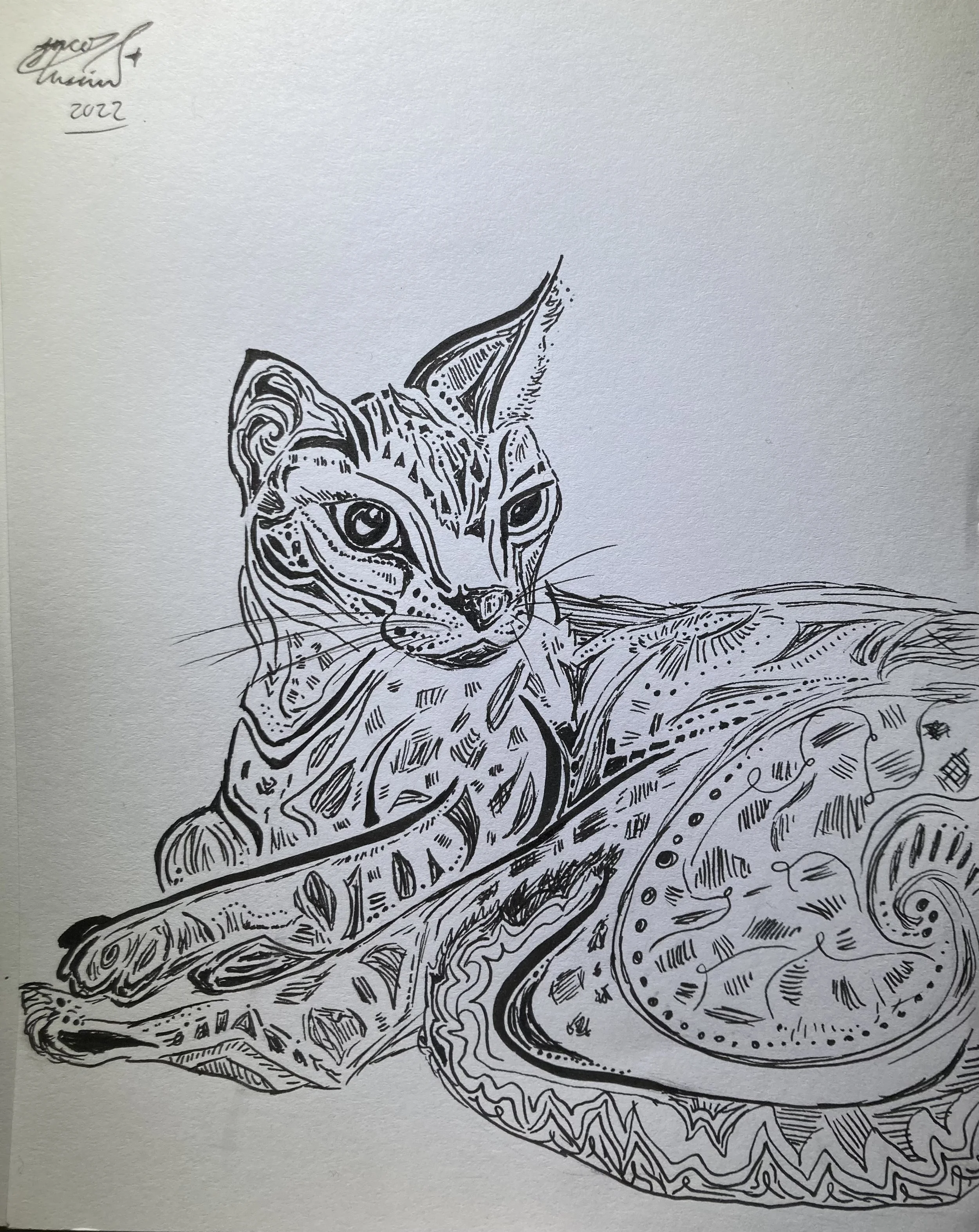 'Ocelot'. Ink on paper. 2022. 6 x 8 inches. SOLD $30.
