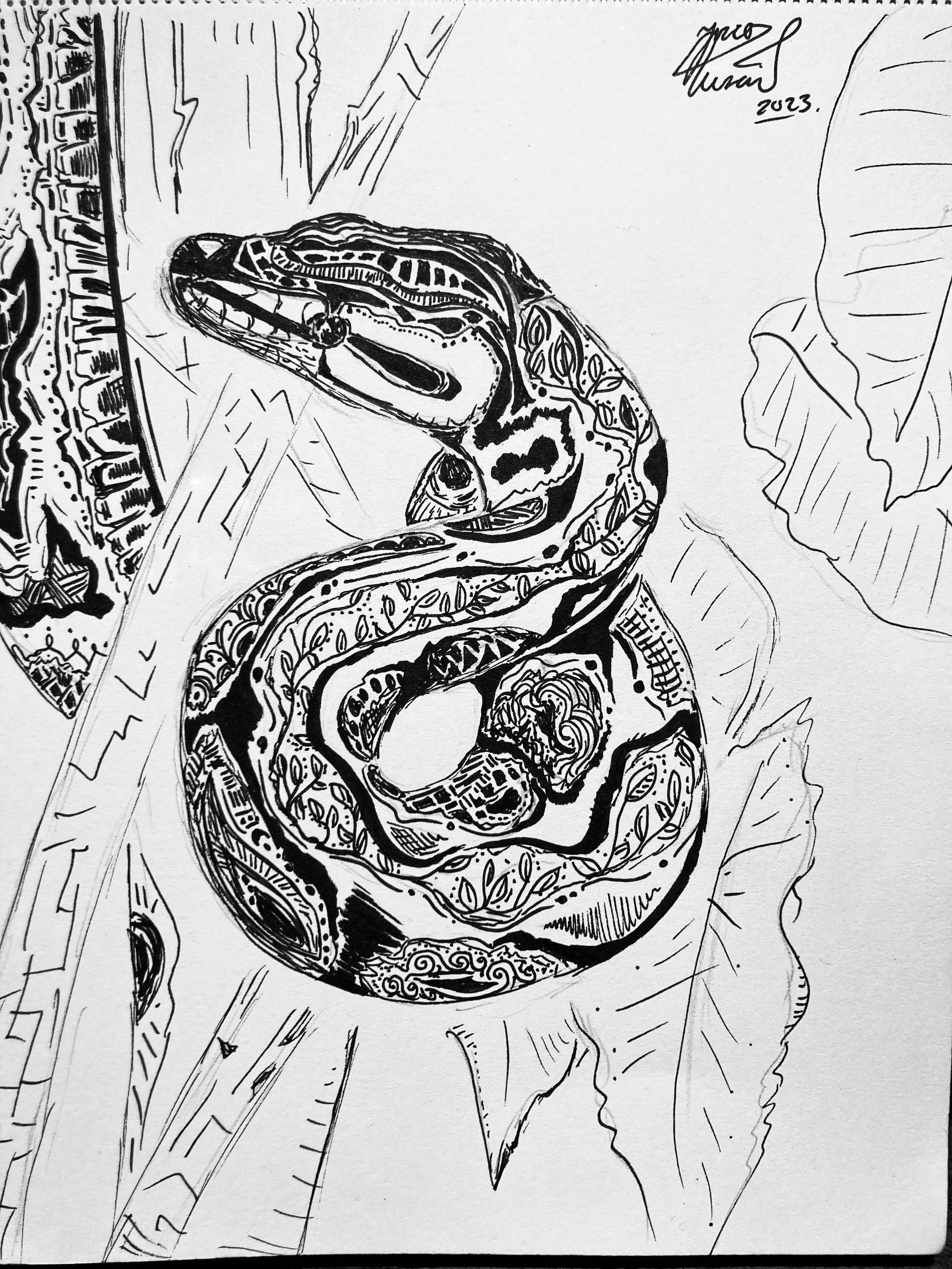 'Severus'. Ink on paper. 2023. 6 x 8 inches. 