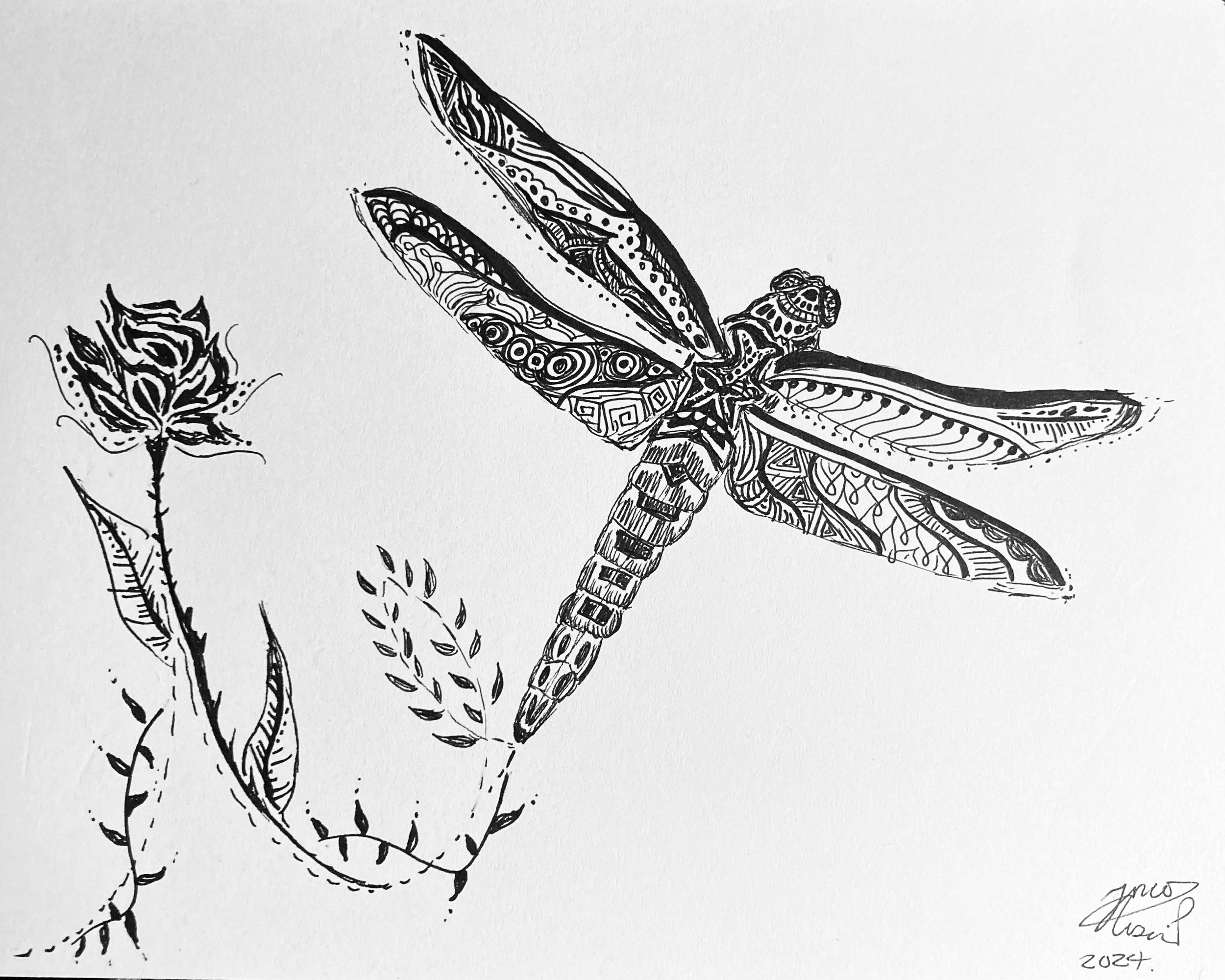 'Dragonly' for Melanie Green. Ink on paper. 2024. 6 x 8 inches. Commission-inspiration 