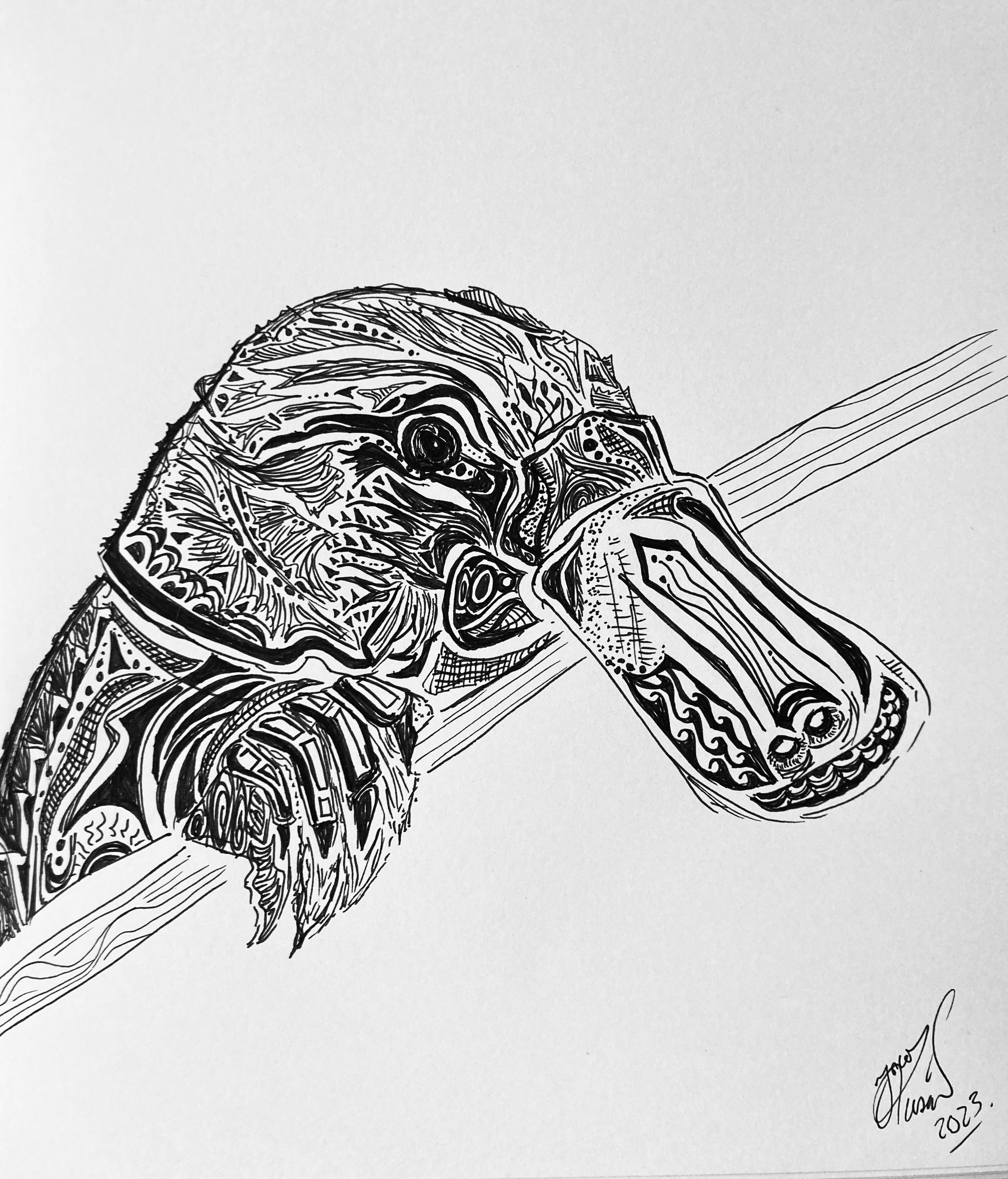 'A Quick Peek'. Ink on paper. 2023. 10 x 9 inches.  SOLD $70 at Isaac's Way Restaurant.   