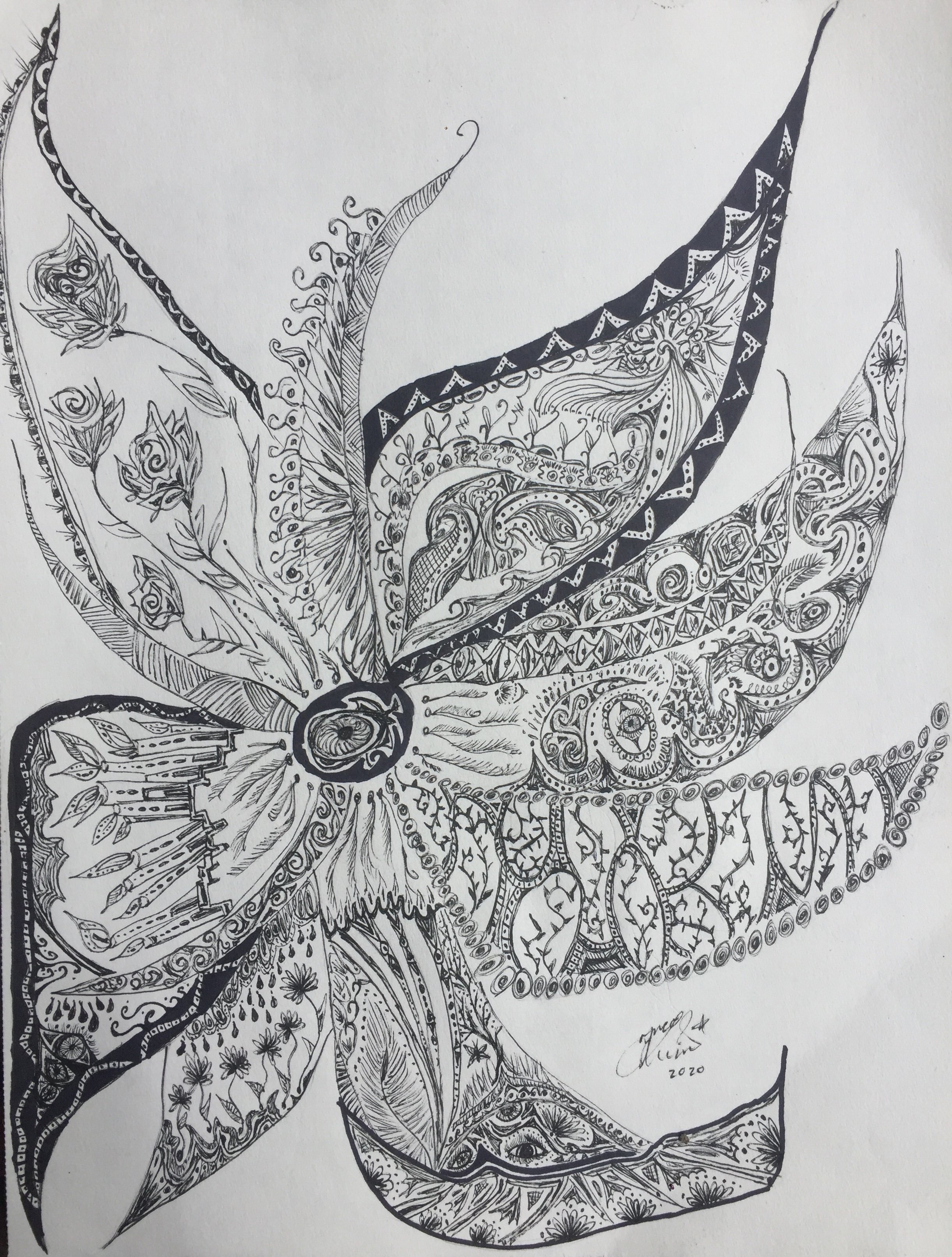 'Unfurled'. Ink on paper. 2020. 11 x 14 inches. SOLD $200.