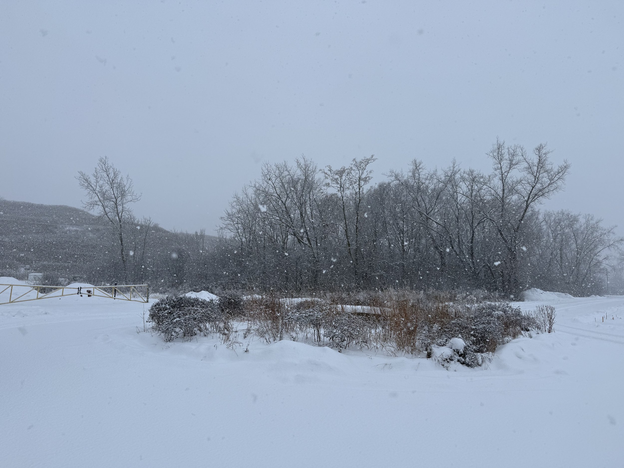 Catching Up With CAT: Looking Forward