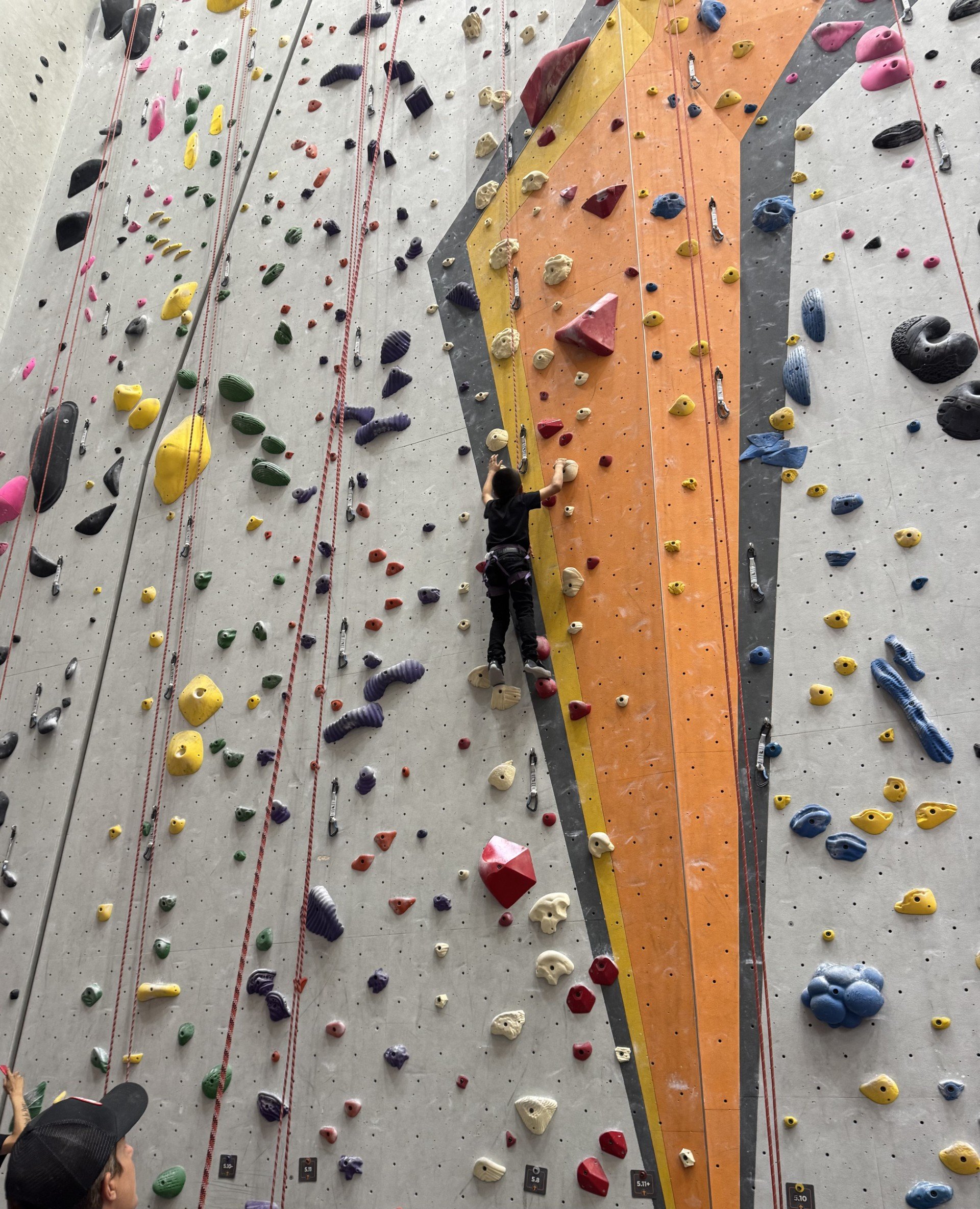 Catching Up With CAT: Finding Empowerment Through Skills and Accessibility