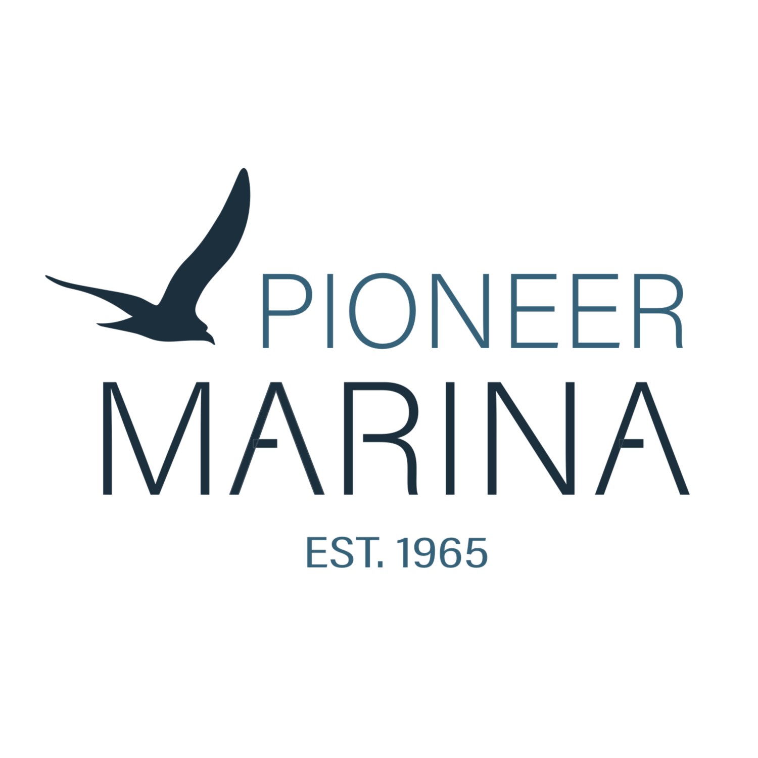 Pioneer Marina (Copy) (Copy)