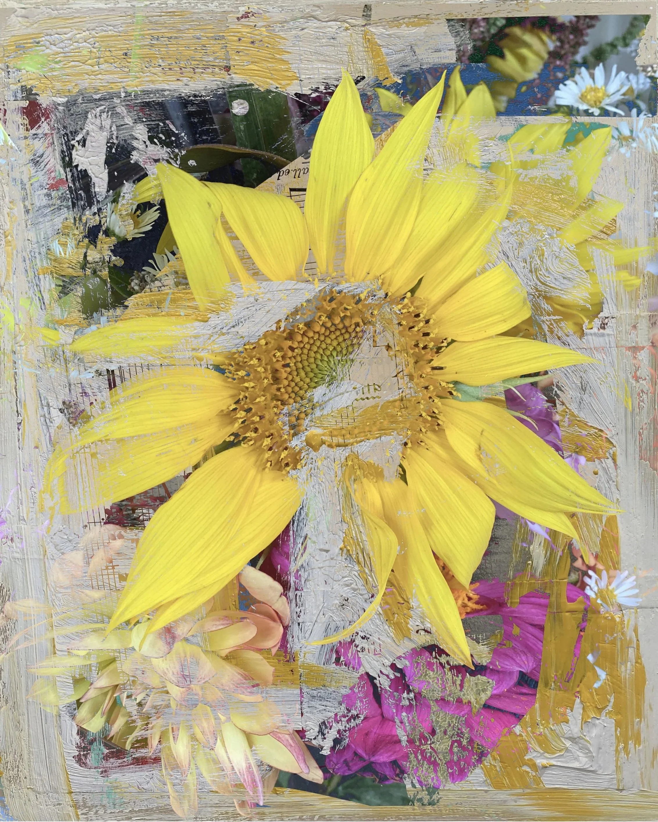 Helianthus-Dreams-8x10.jpg