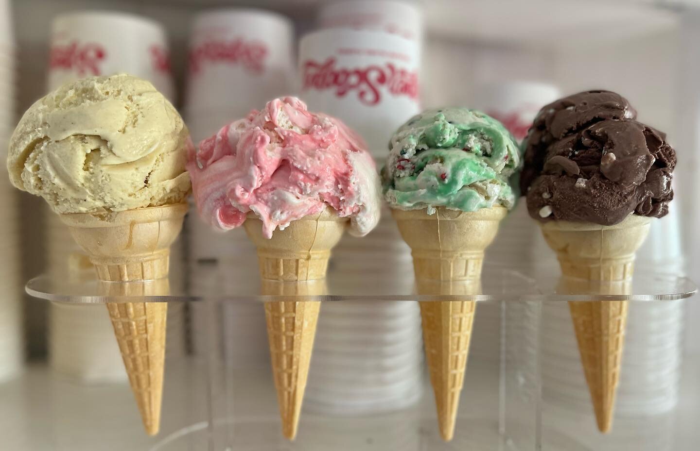 CHRISTMAS FLAVORS! 🎄

🎅🏼 Eggnog 

🎅🏼 Peppermint

🎅🏼 Christmas Cookie 

🎅🏼 Hot Cocoa 

#treasureislandflorida #treasureisland #florida #indianrocksbeach #stpetebeach #madeirabeach #clearwaterbeach #icecream #wafflecone #bananasplit #sprinkles