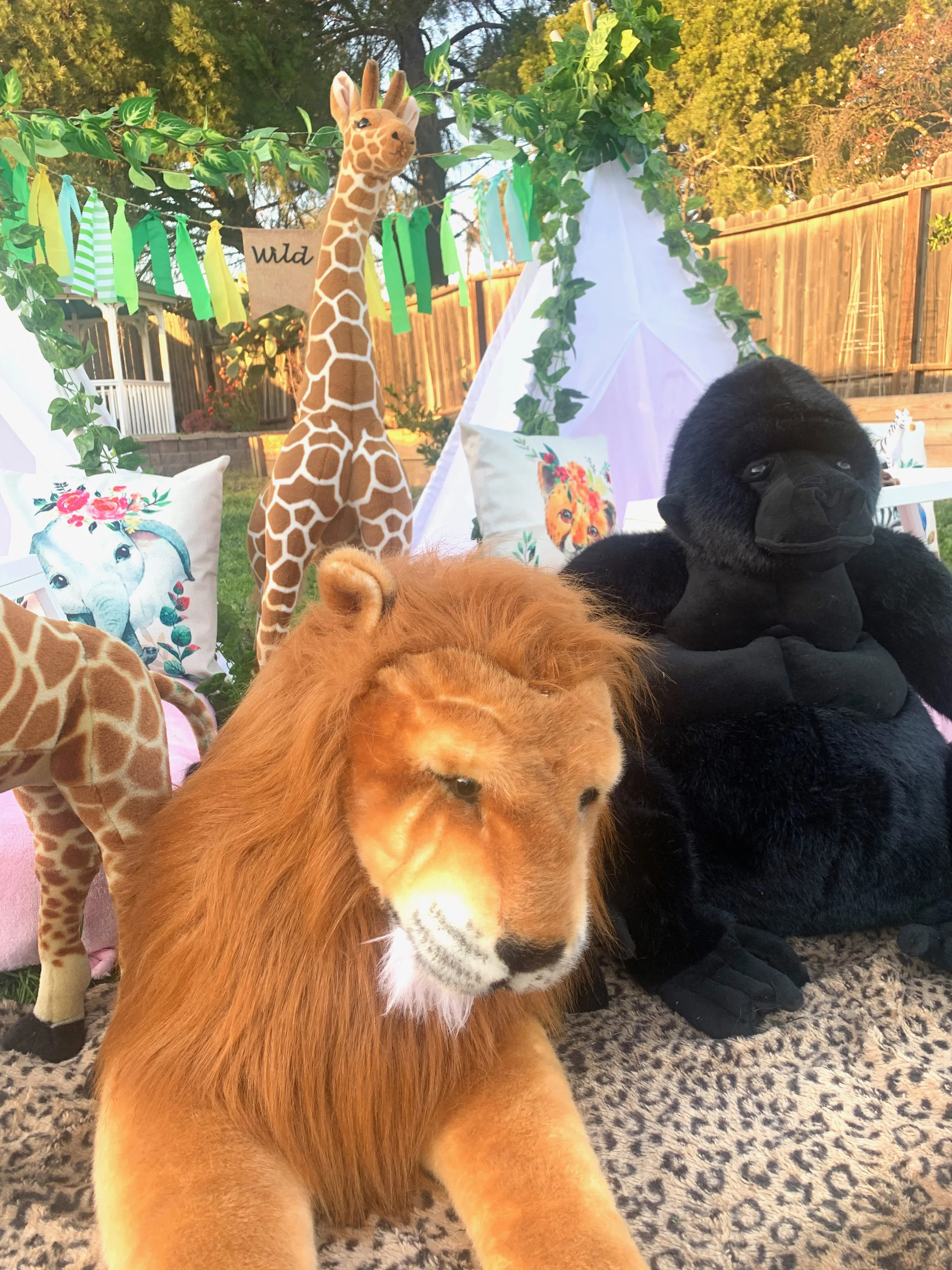 Tessa Teepees - 68 of 133.jpeg