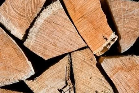 Premium Oak — Dalman's Evergreens