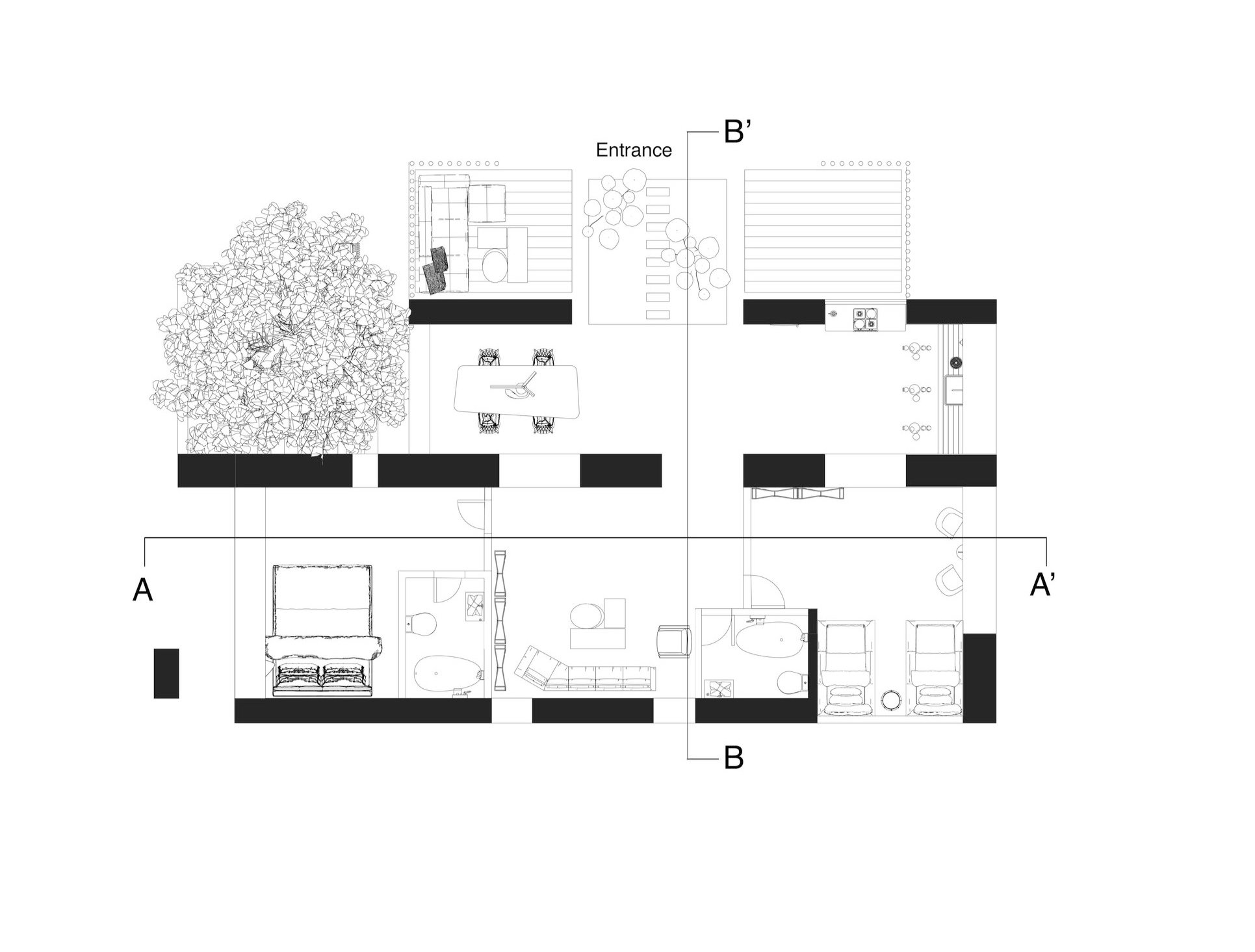 plan+roofhouse+copy.jpg