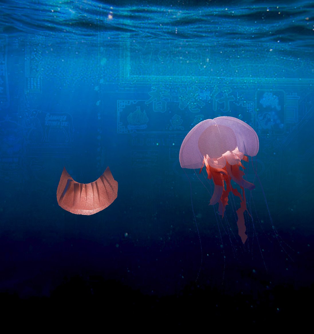 Through The Aquarium Glass
