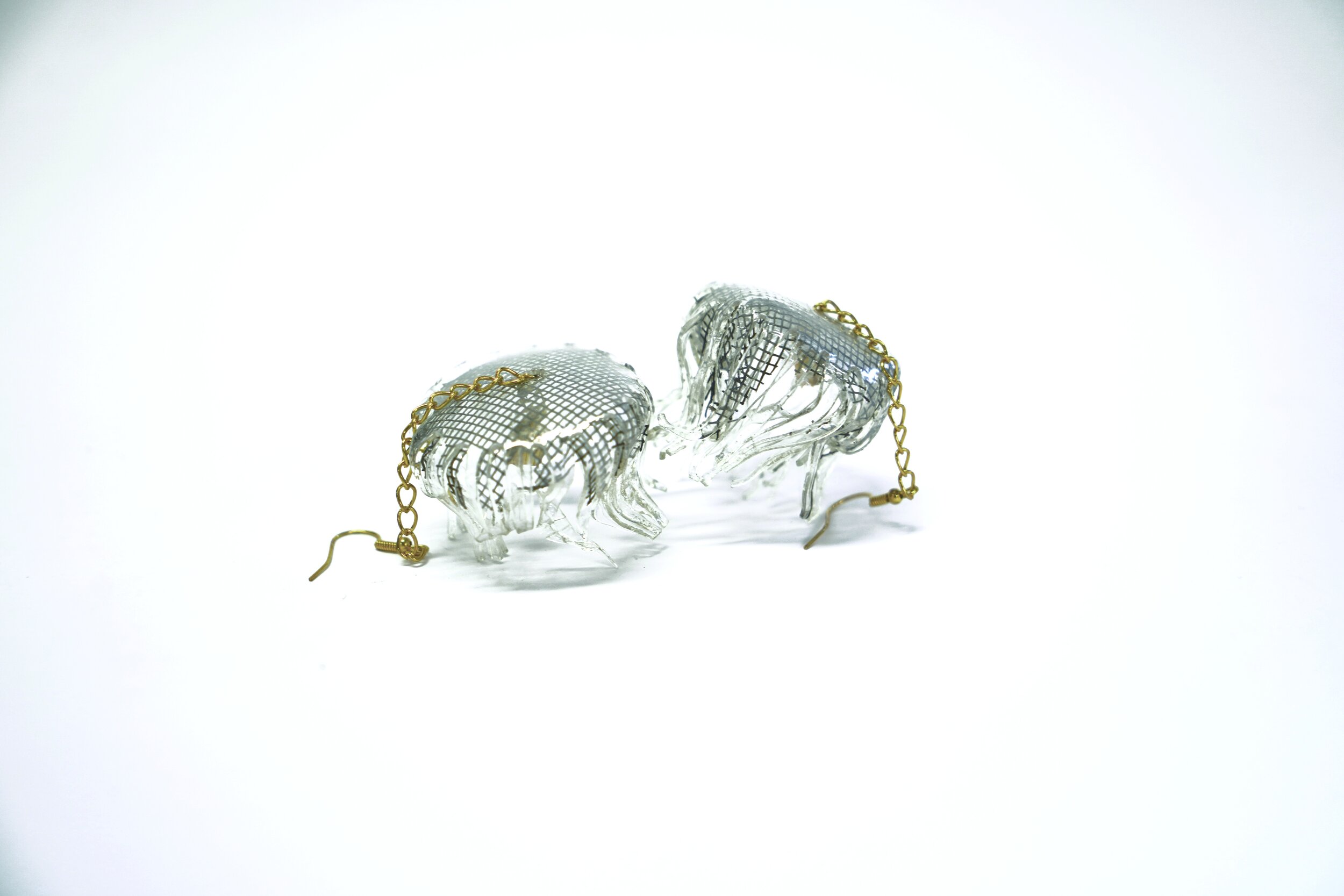 JELLYFISH