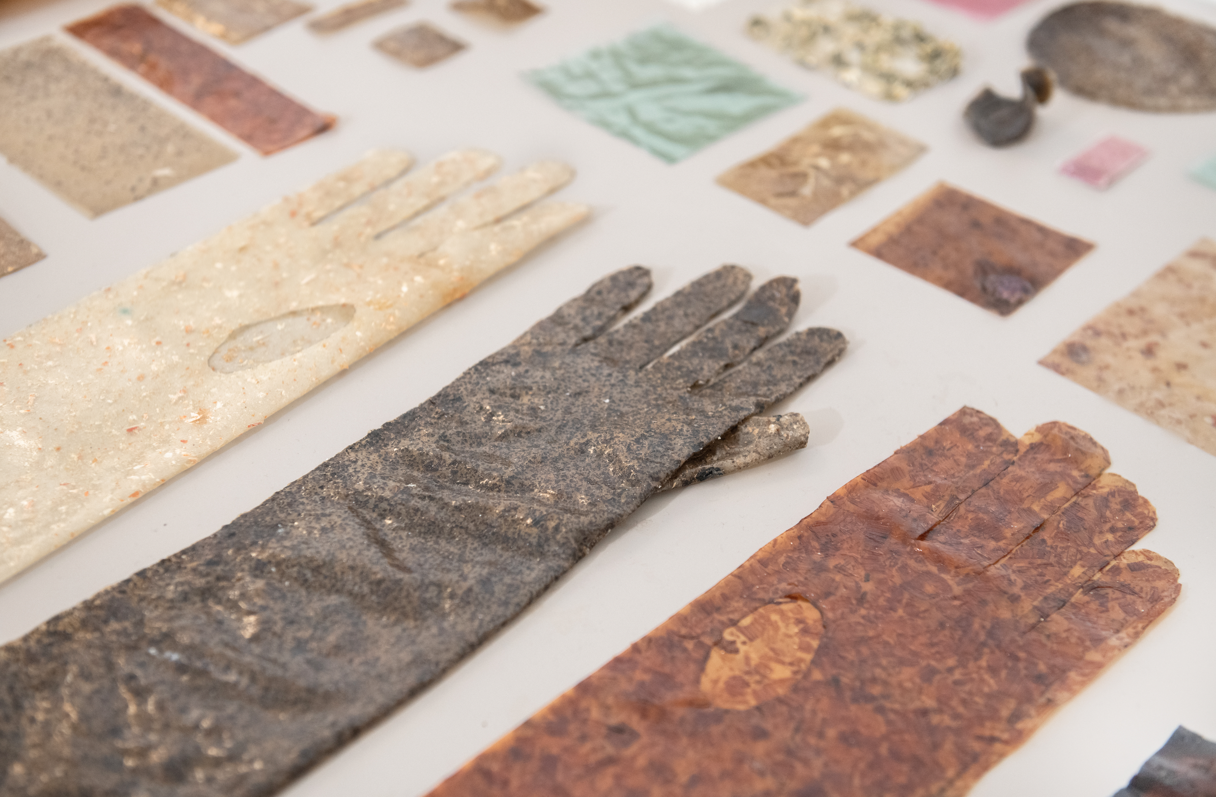 S h e d - from food waste to new materials