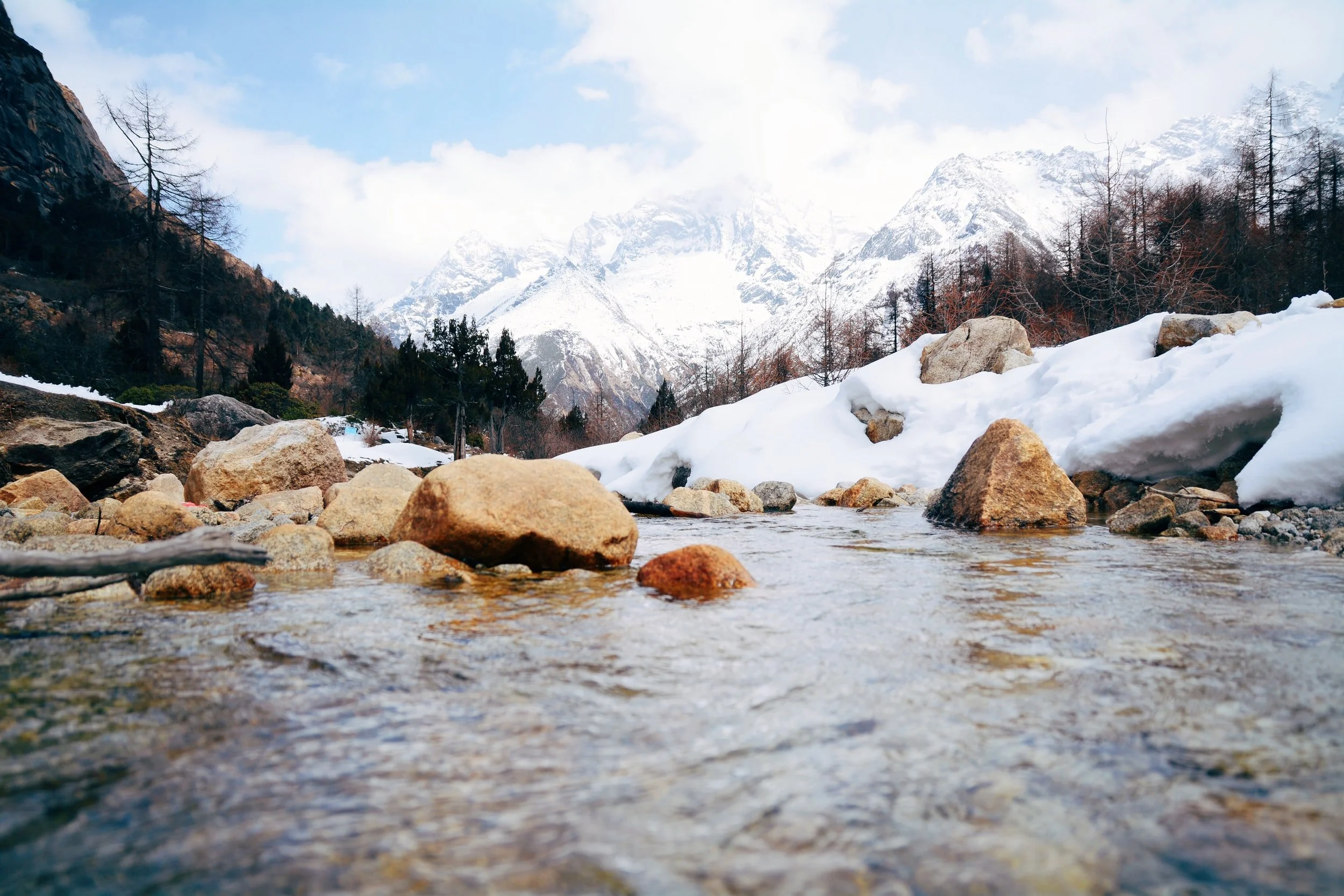 unsplash-image-hwf_LcQpcns.jpg