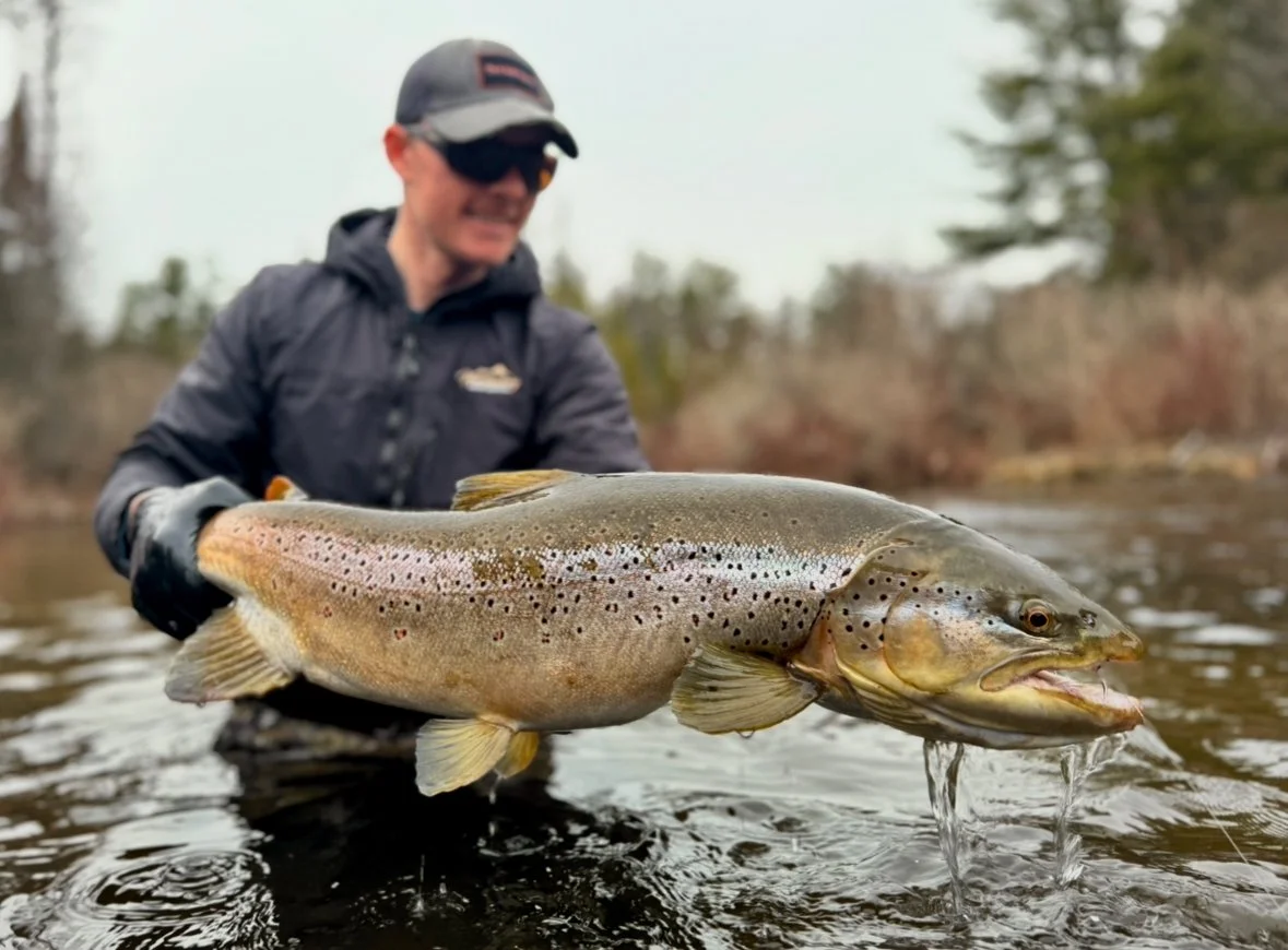 Person in outdoor gear holding a large fish with a water stream coming from its mouth, in a river setting.
