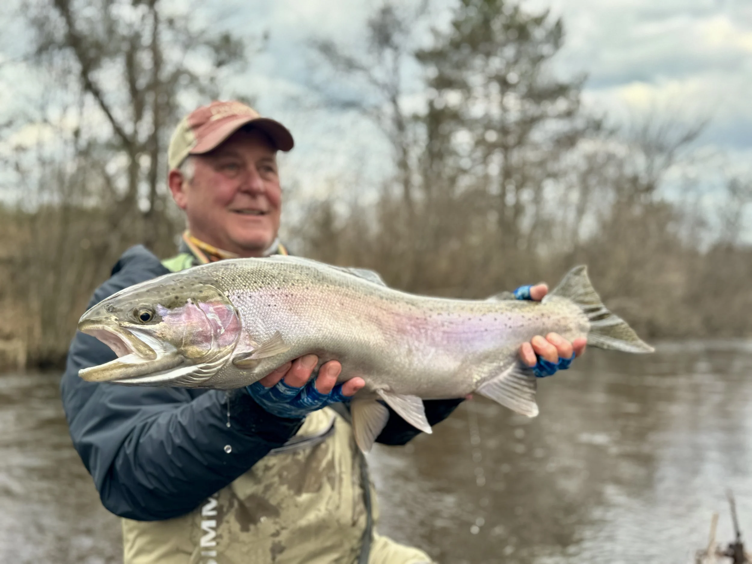 Customer of Vandenberg Guide Service holding a large steelhead in Bear Creek