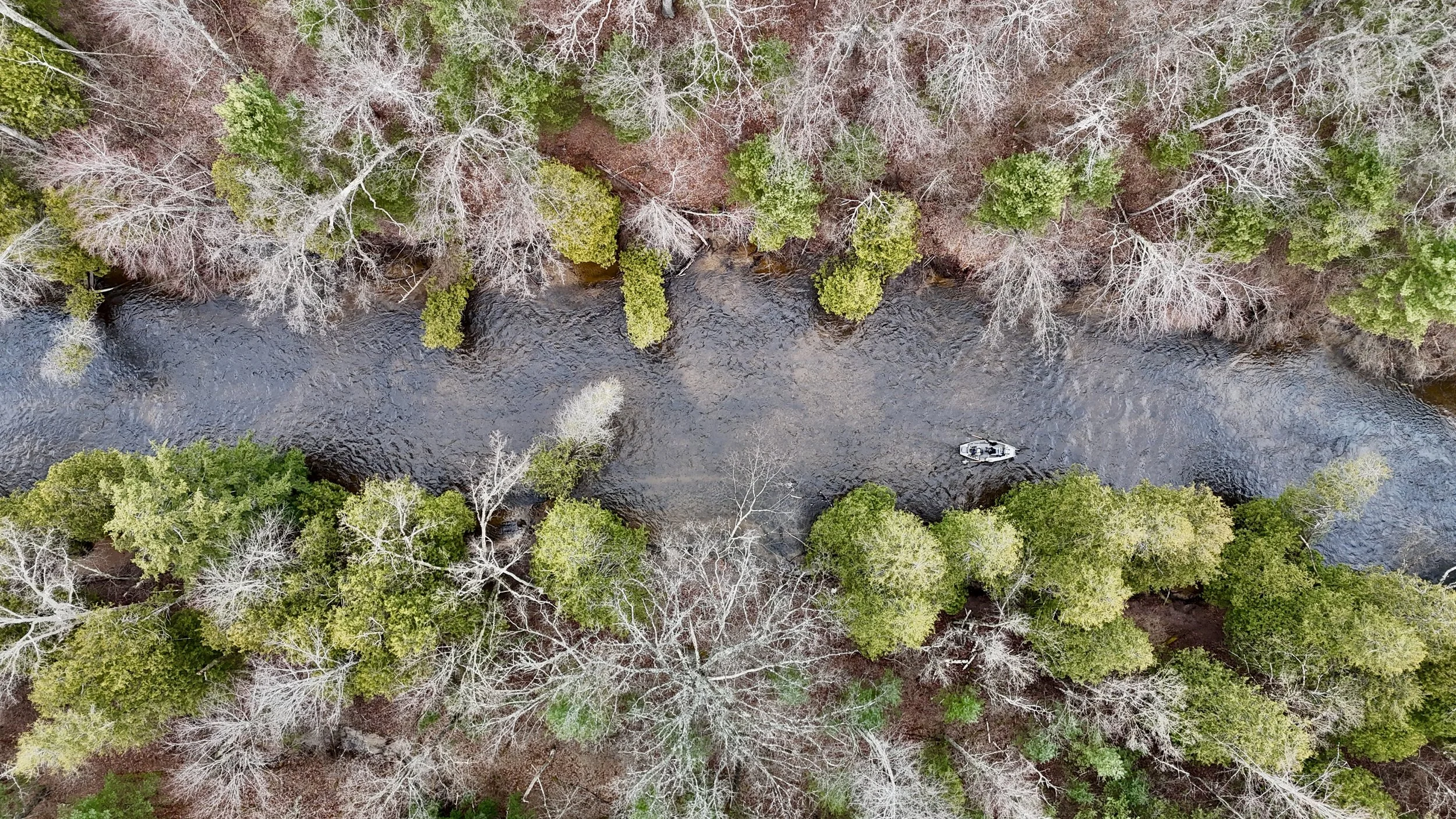 Aerial view of a river flowing through a forest with trees, some with bare branches, and a boat on the water.