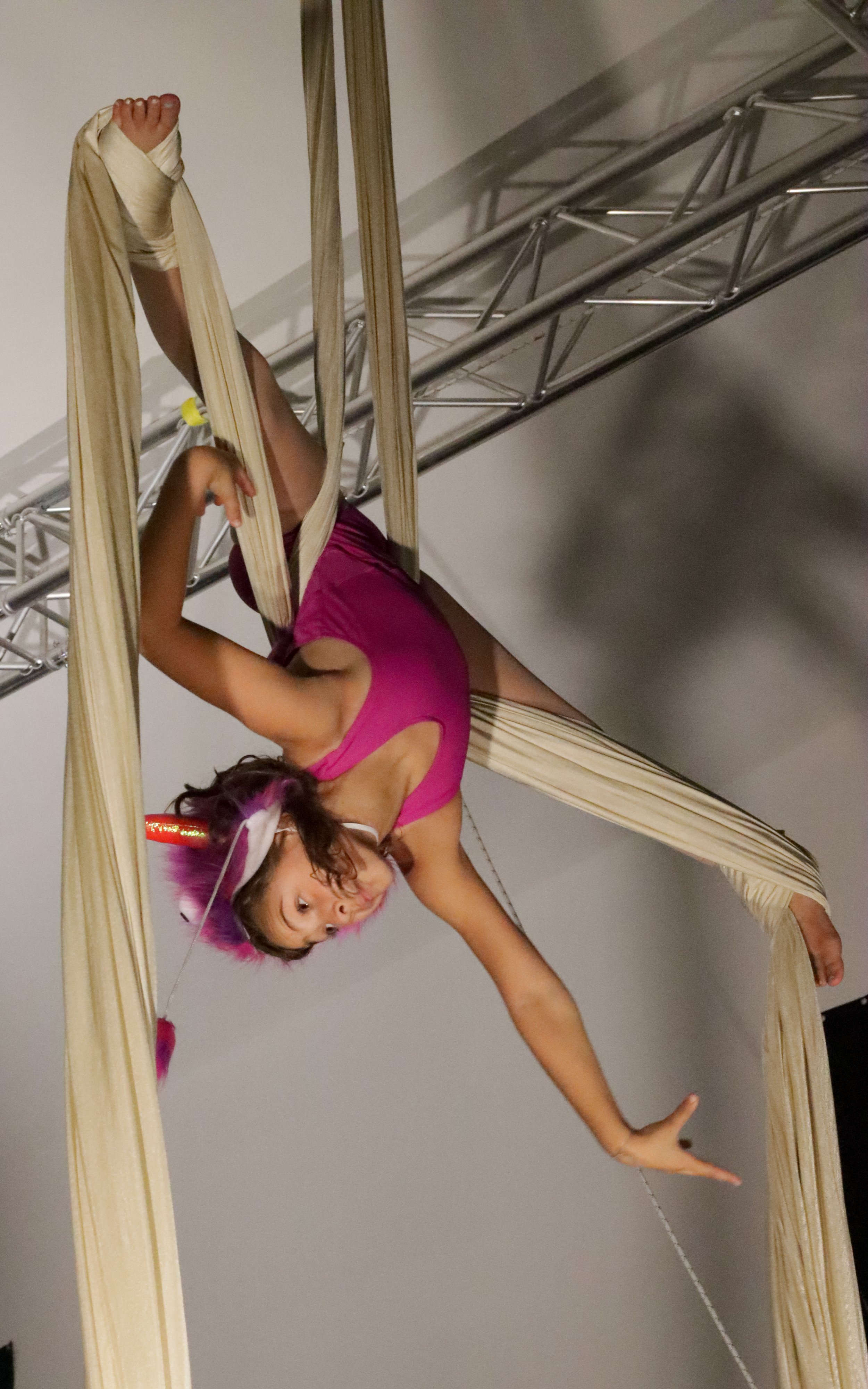 Inspired Aerial Arts