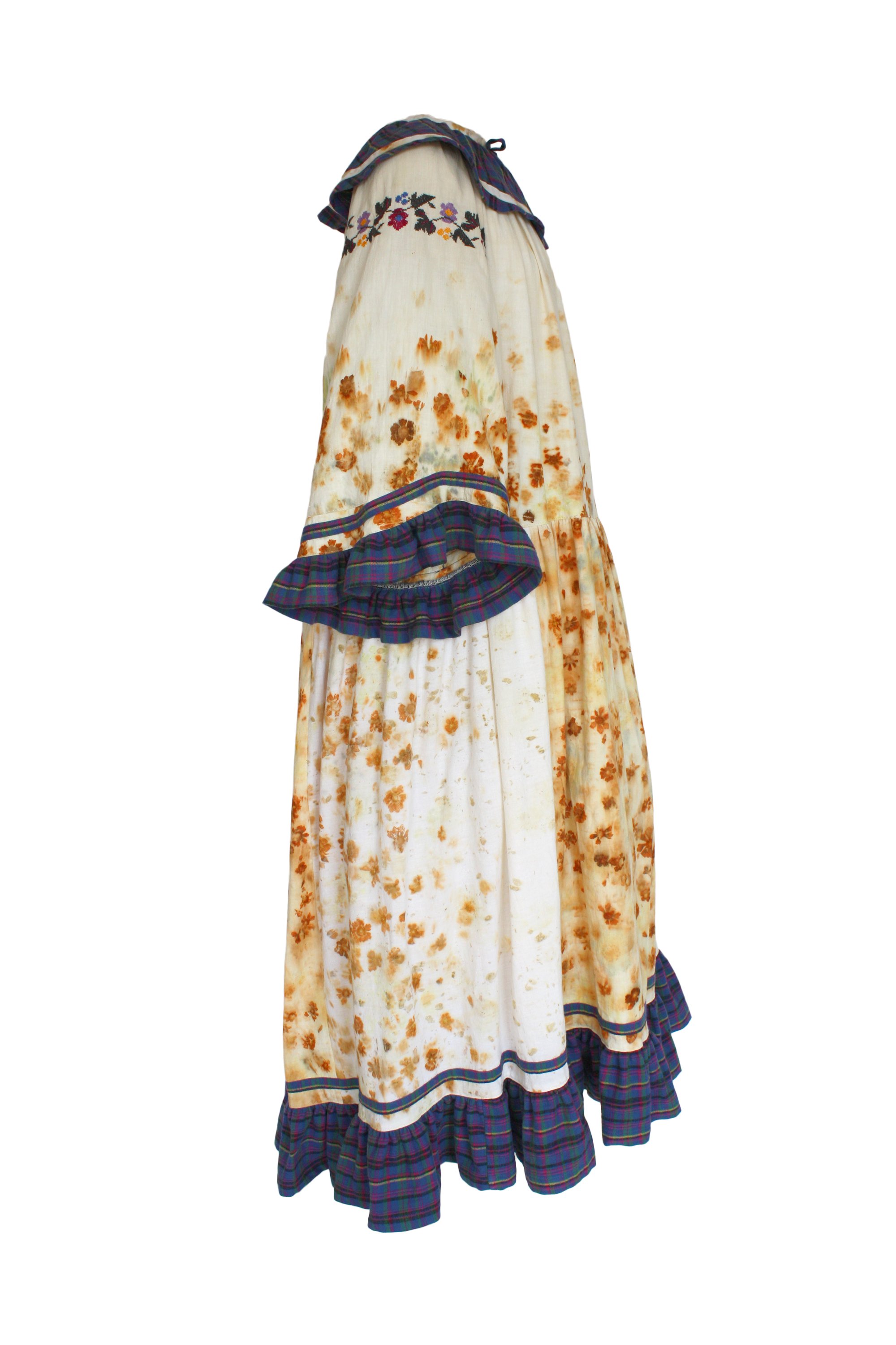 prairietickseedR.jpg