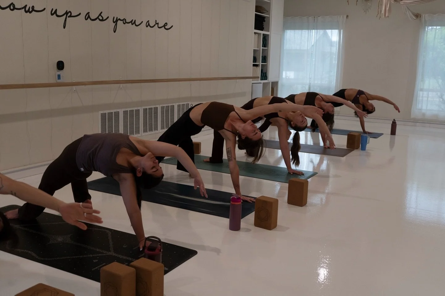 Who&rsquo;s ready for some ✨ 𝔽ℝ𝔼𝔼✨ Yoga?

Starting next month our amazing yoga trainees are preparing for the finish line. They have their first practice teaching to the community and they&rsquo;re so excited to share their passion and stretch the
