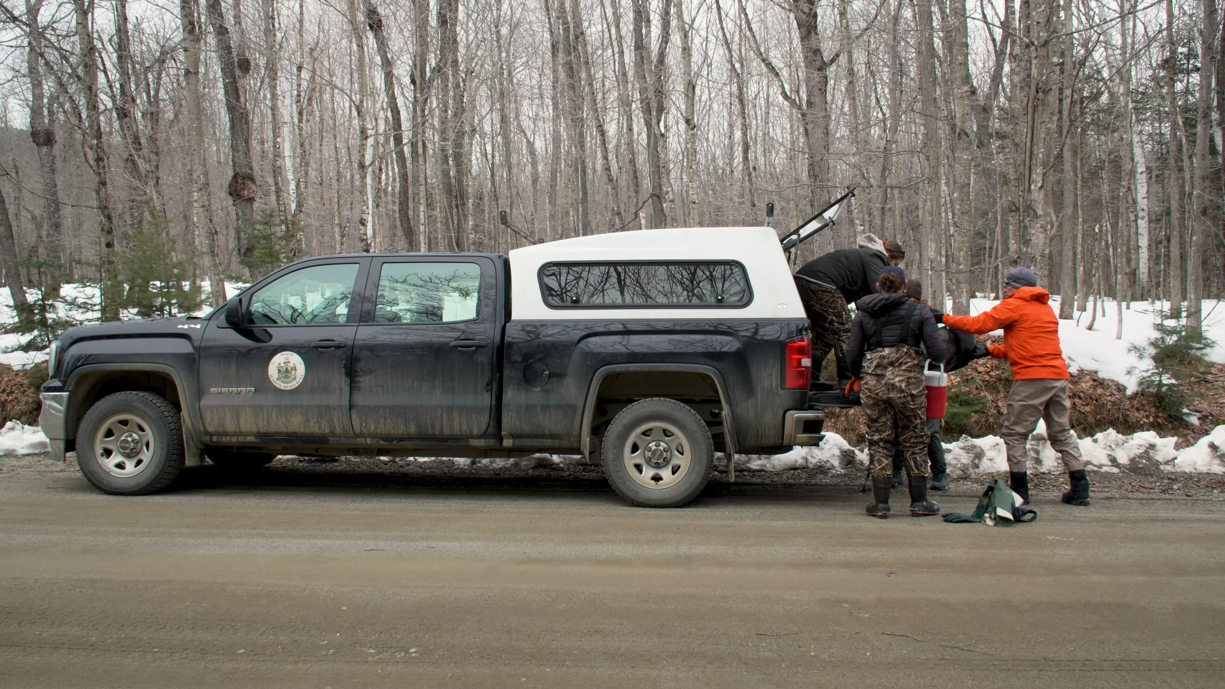 Maine Department of Marine Resources