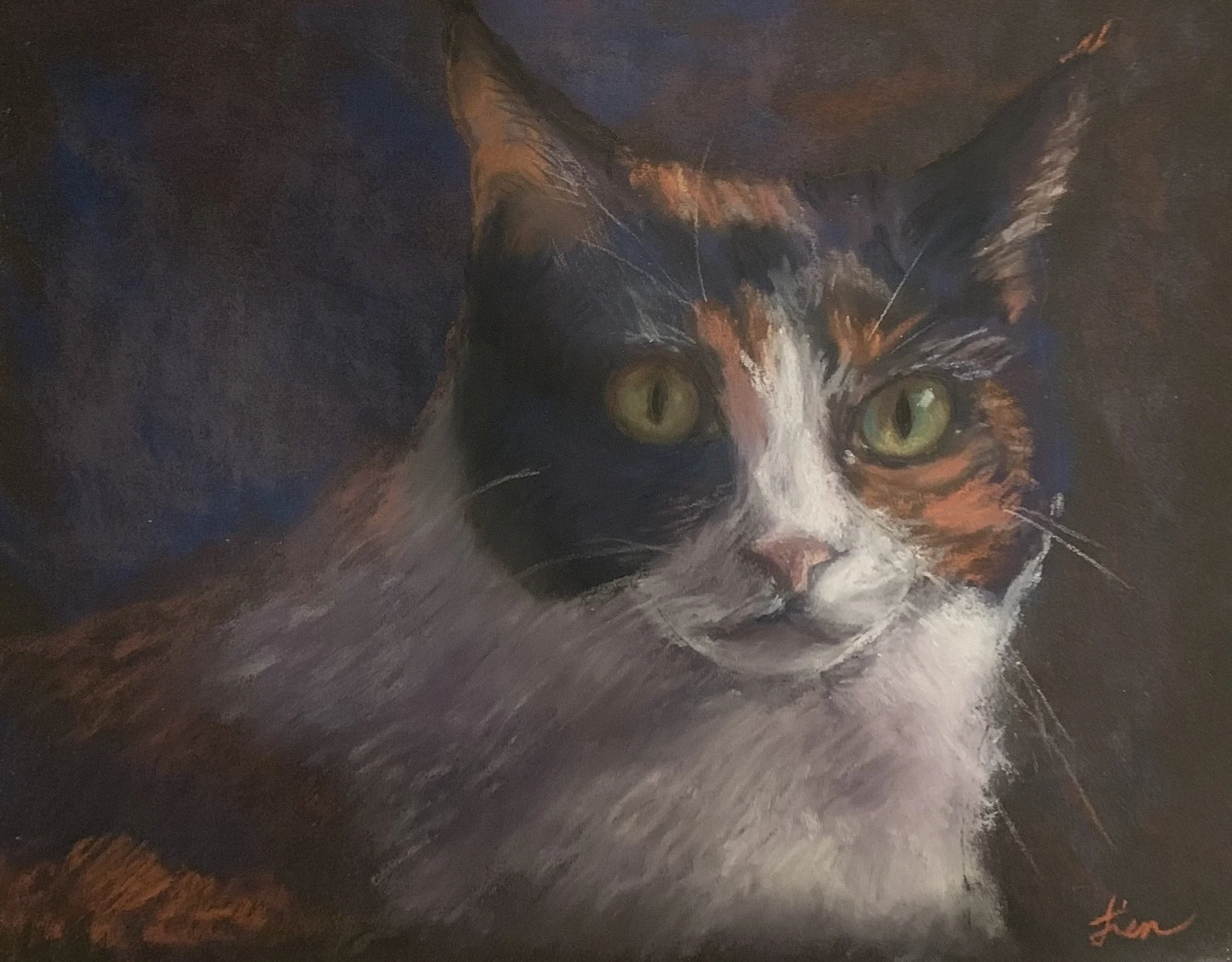 CHIAROSCURO CAT, Pastel (2024) SOLD