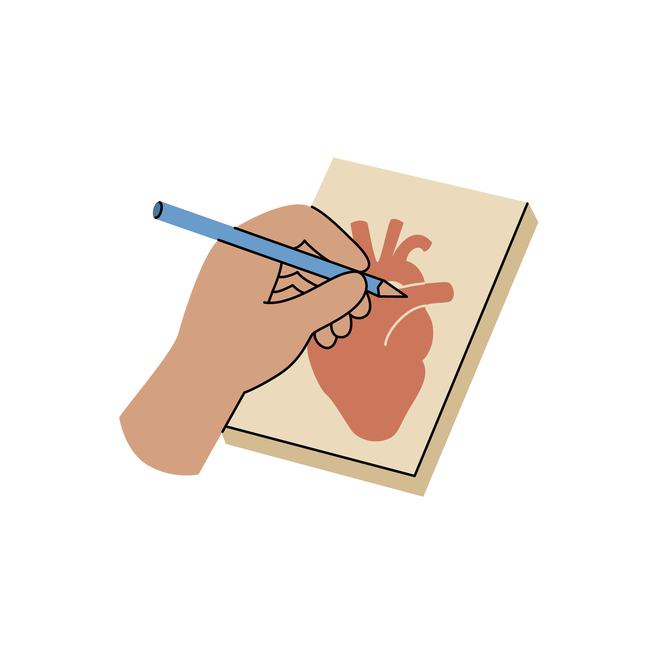 Hand drawing an anatomical heart illustration on paper with a blue pencil
