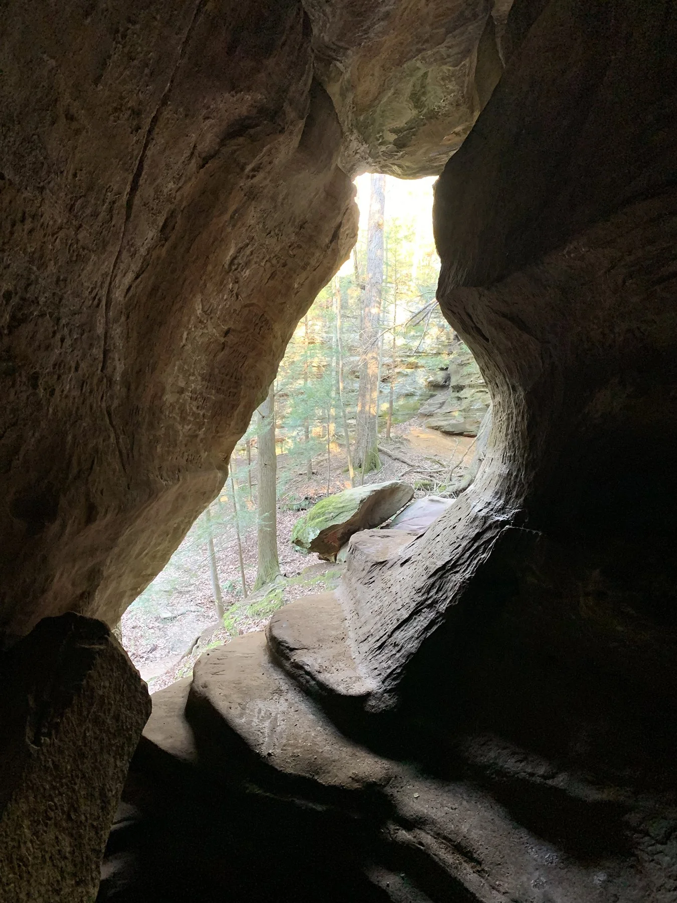 View outward from inside the cave. The opening is in the shape of a bird or owl.