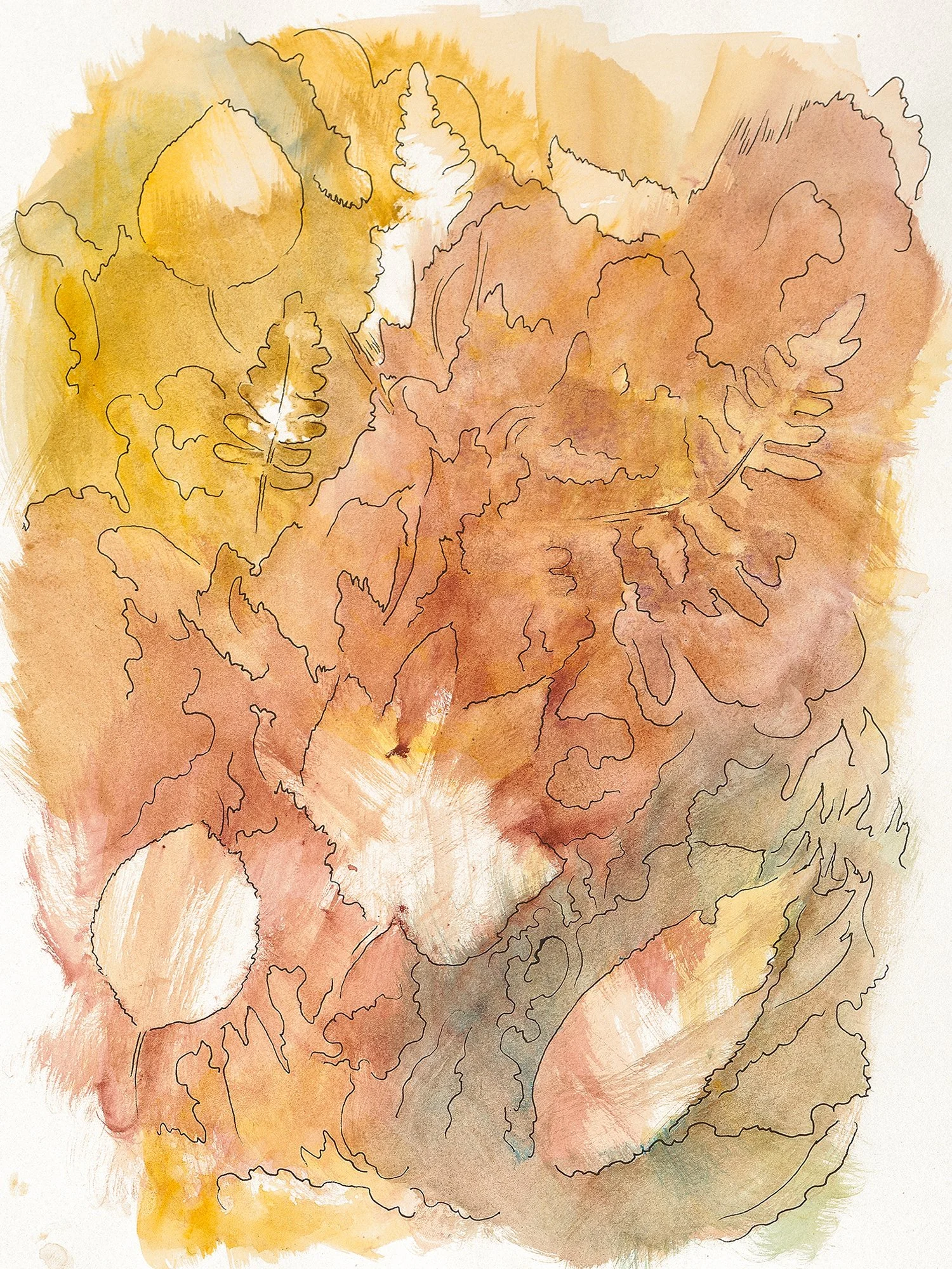 Leaf and fern print, watercolor, and ink. Bracken, Birch, Maple, Hornbeam. 2024.