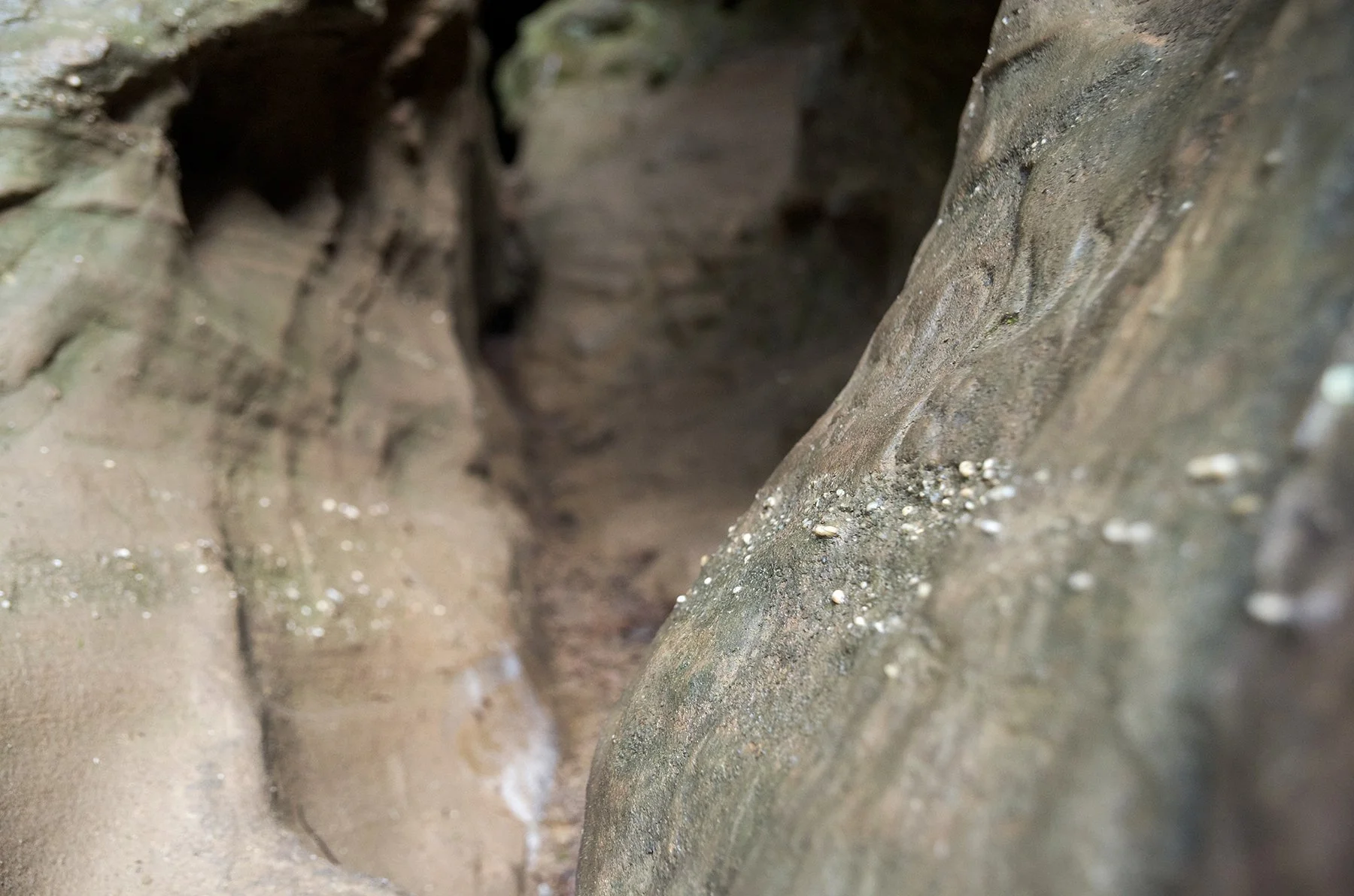Black Hand Sandstone pebbles at Ash Cave. Small, rounded pebbles of quartz with a mineral hardness of 7.
