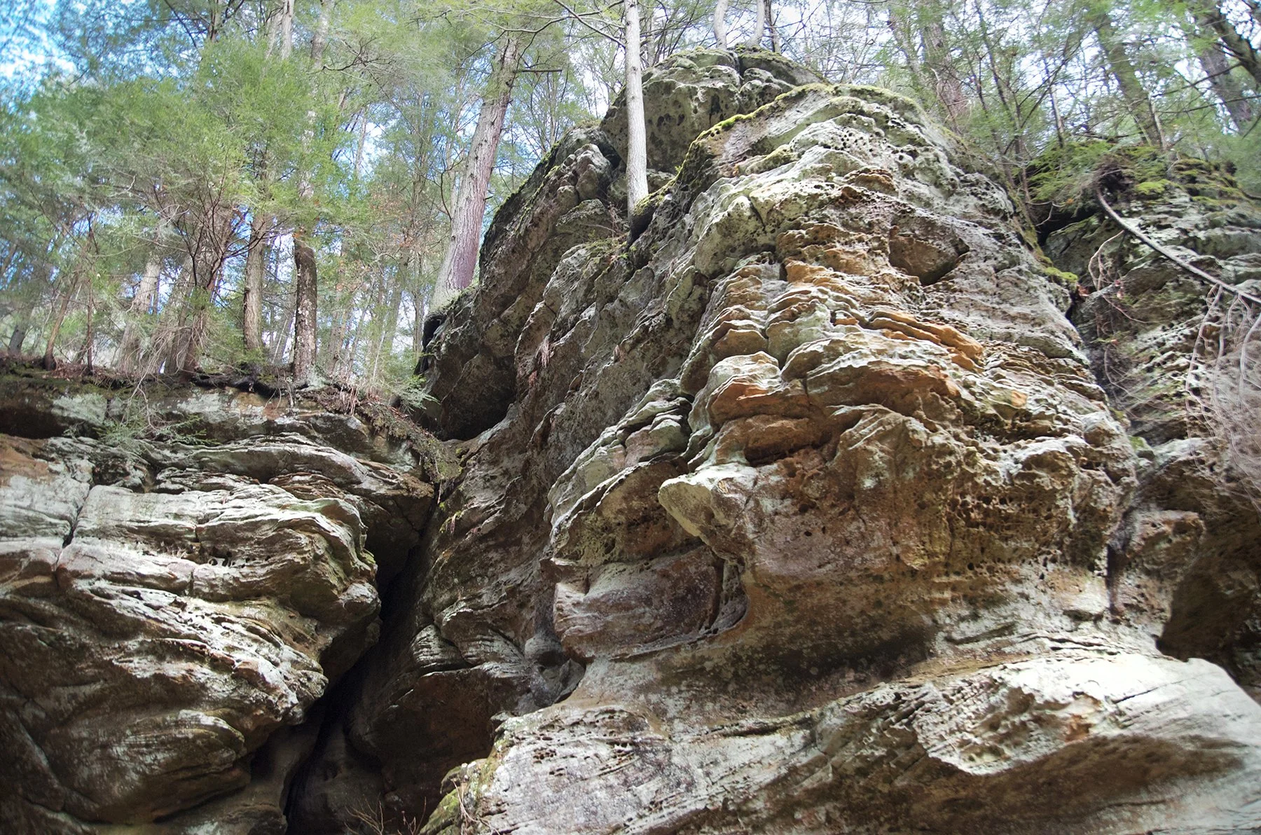 The Black Hand Sandstone at Ash Cave is approximately 355 million years old from the Early Mississippian age. The darker area may be an example of a geological joint.