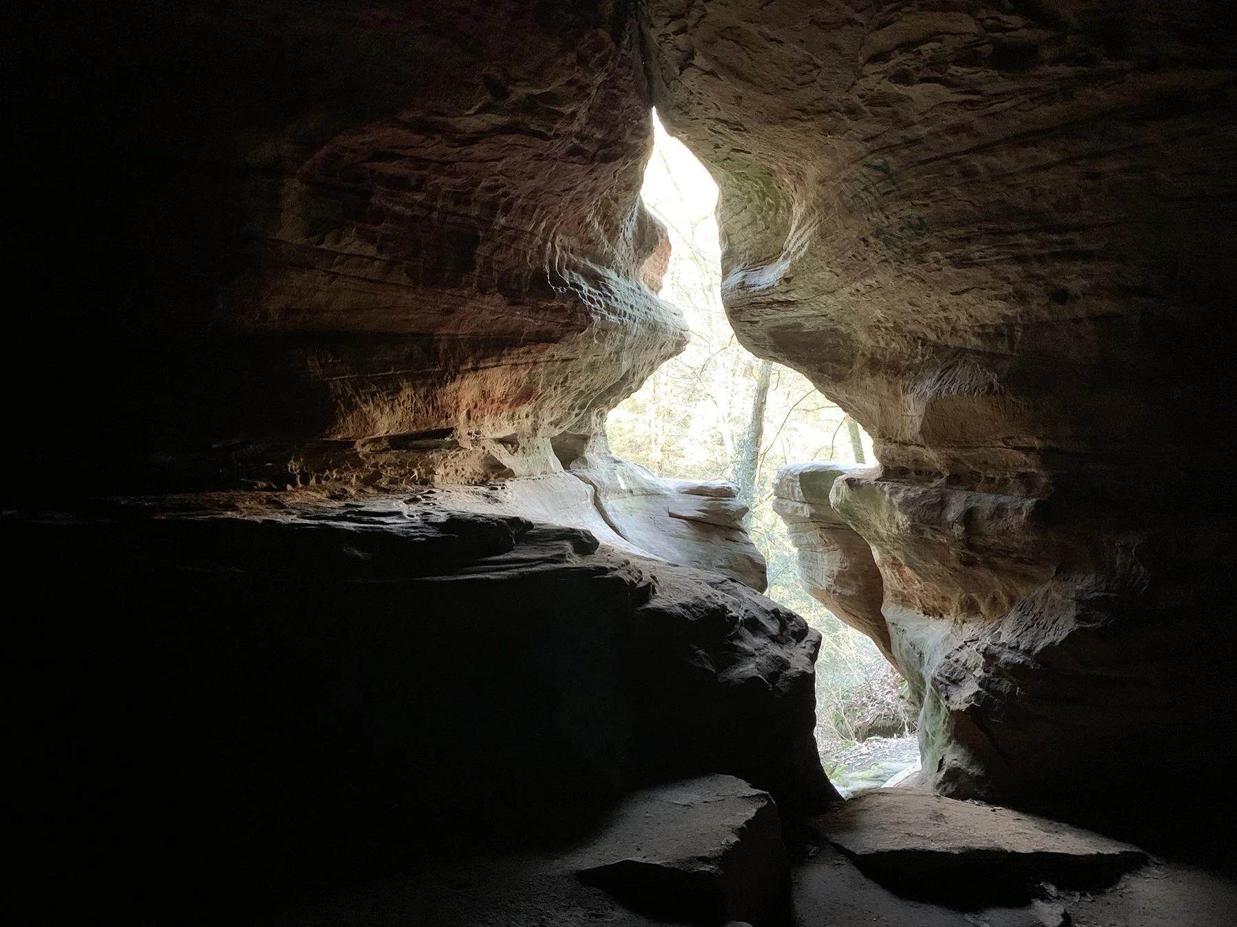 View outward from inside the cave. The opening is in the shape of a bird.
