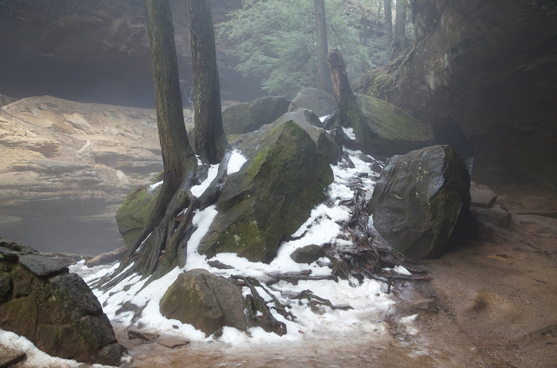 hocking-hills-state-park-old-mans-cave-tree-roots.jpg