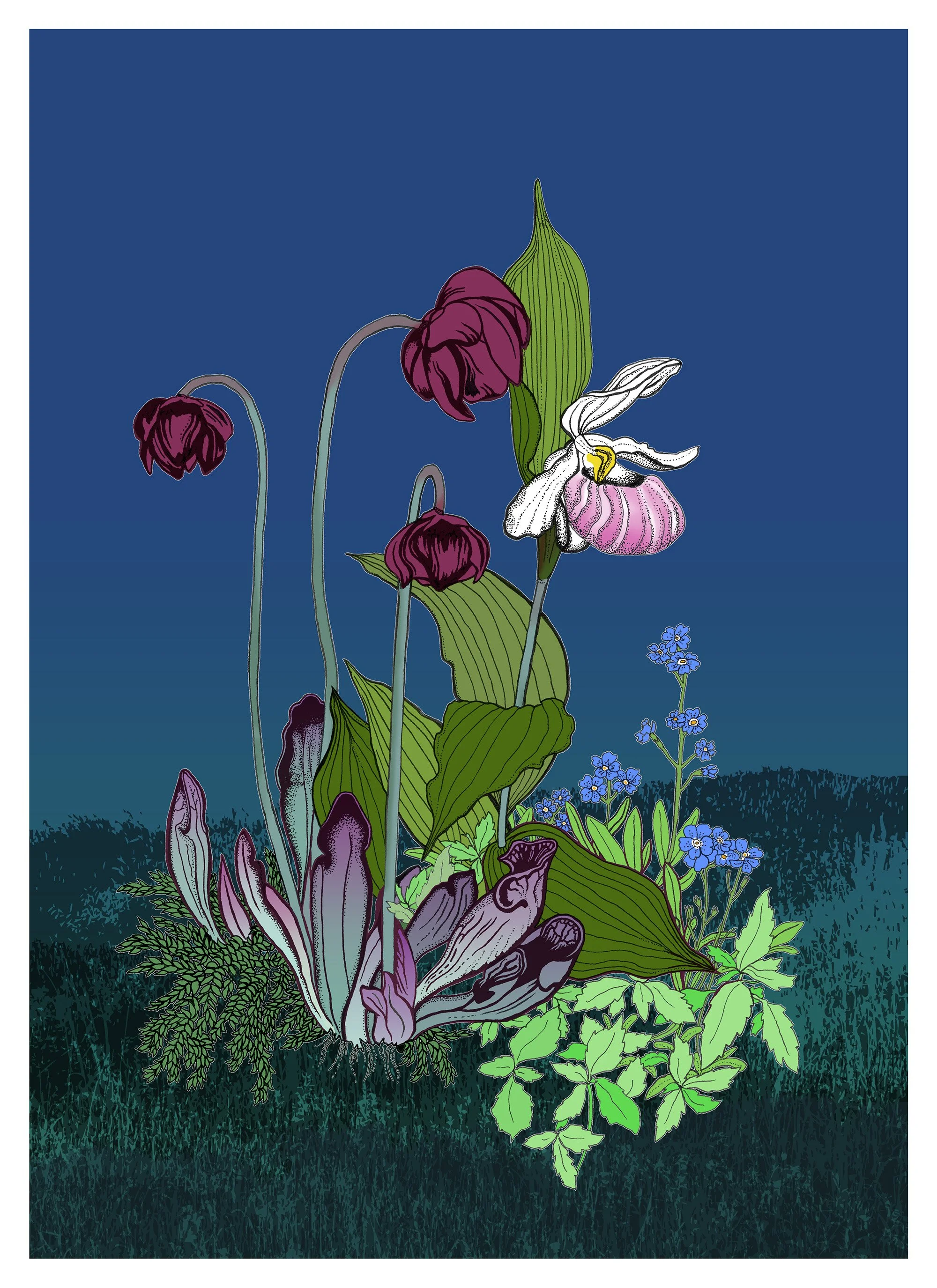 Eloise-Butler-Visionary-of-Wild-Spaces-12x16.jpg