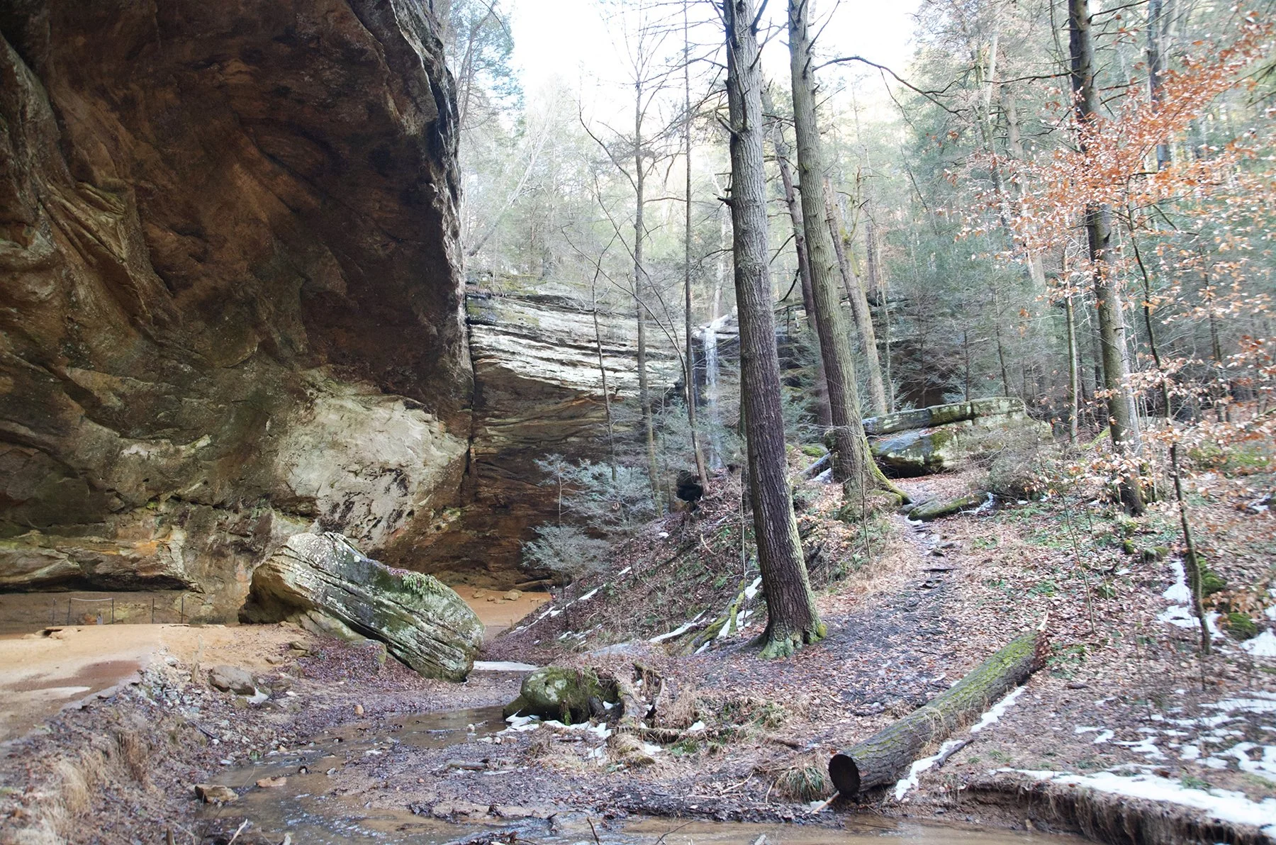 View of Ash Cave and the ancient ash mound. The lighter area may be an example of salt peter.