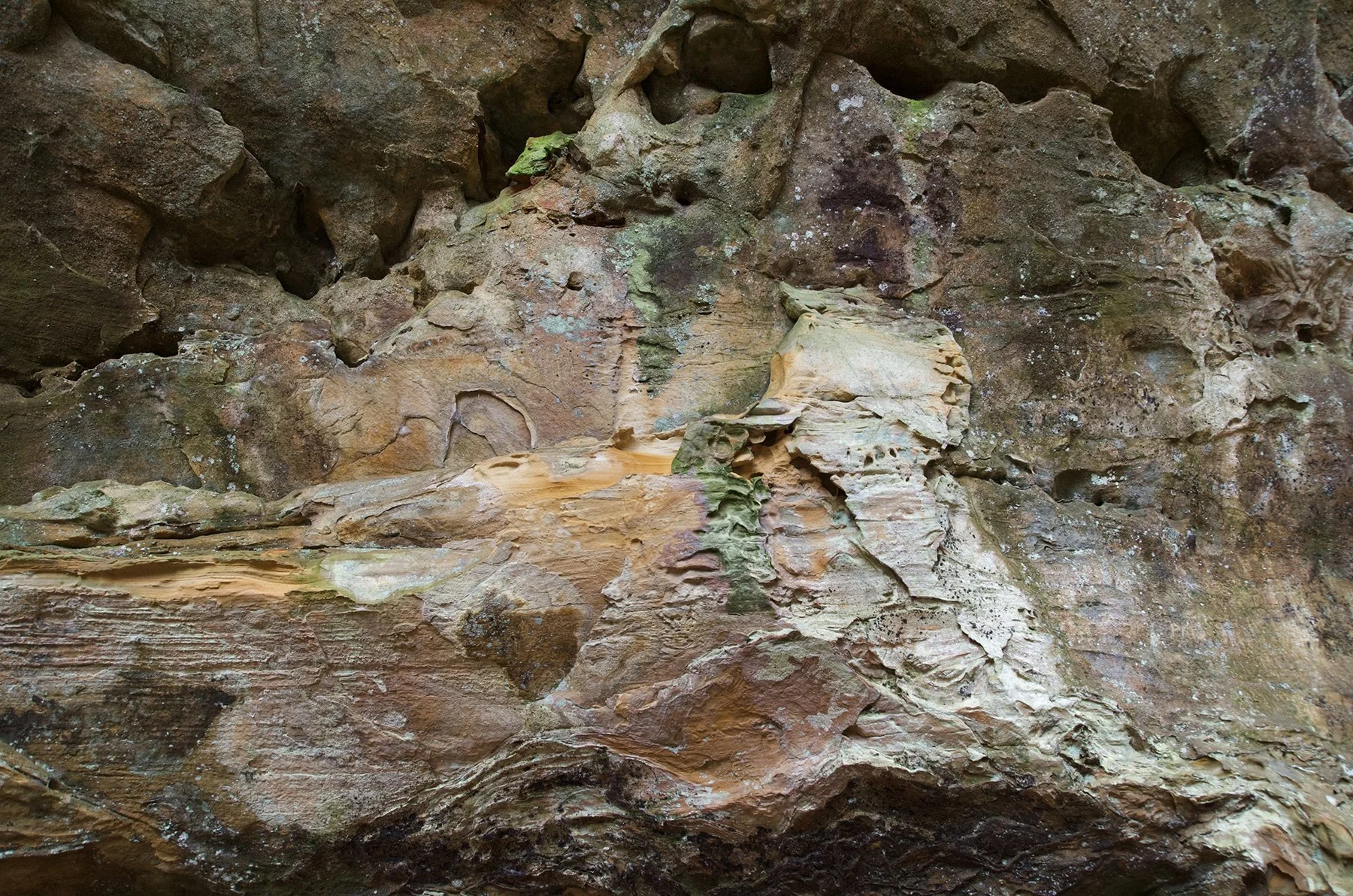 A colorful section of Black Hand Sandstone at Ash Cave.