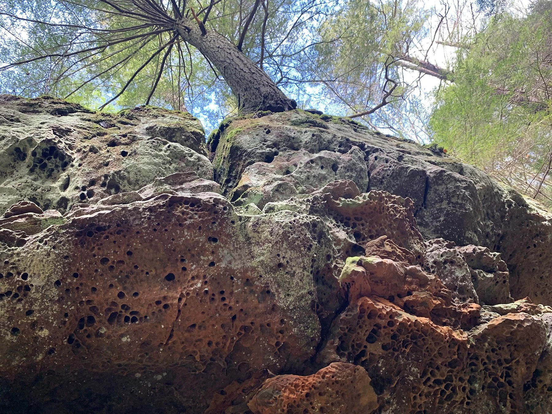 Black Hand Sandstone at Ash Cave.