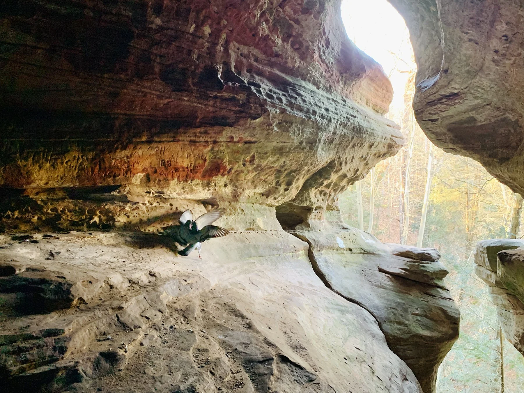 View outward from inside the cave with two pigeons in a mating dance on the rock wall. The opening is in the shape of a bird.