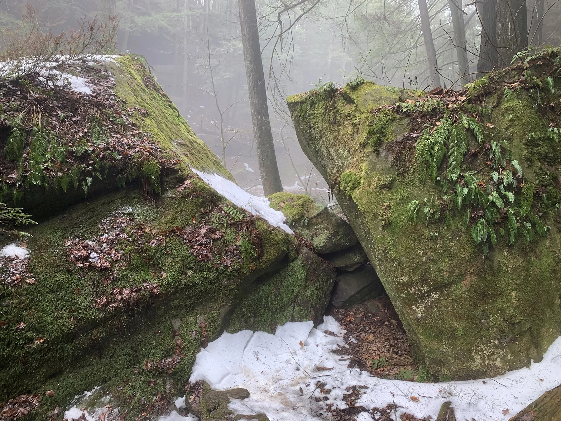 hocking-hills-state-park-old-mans-cave-rocks-ferns-moss.jpg