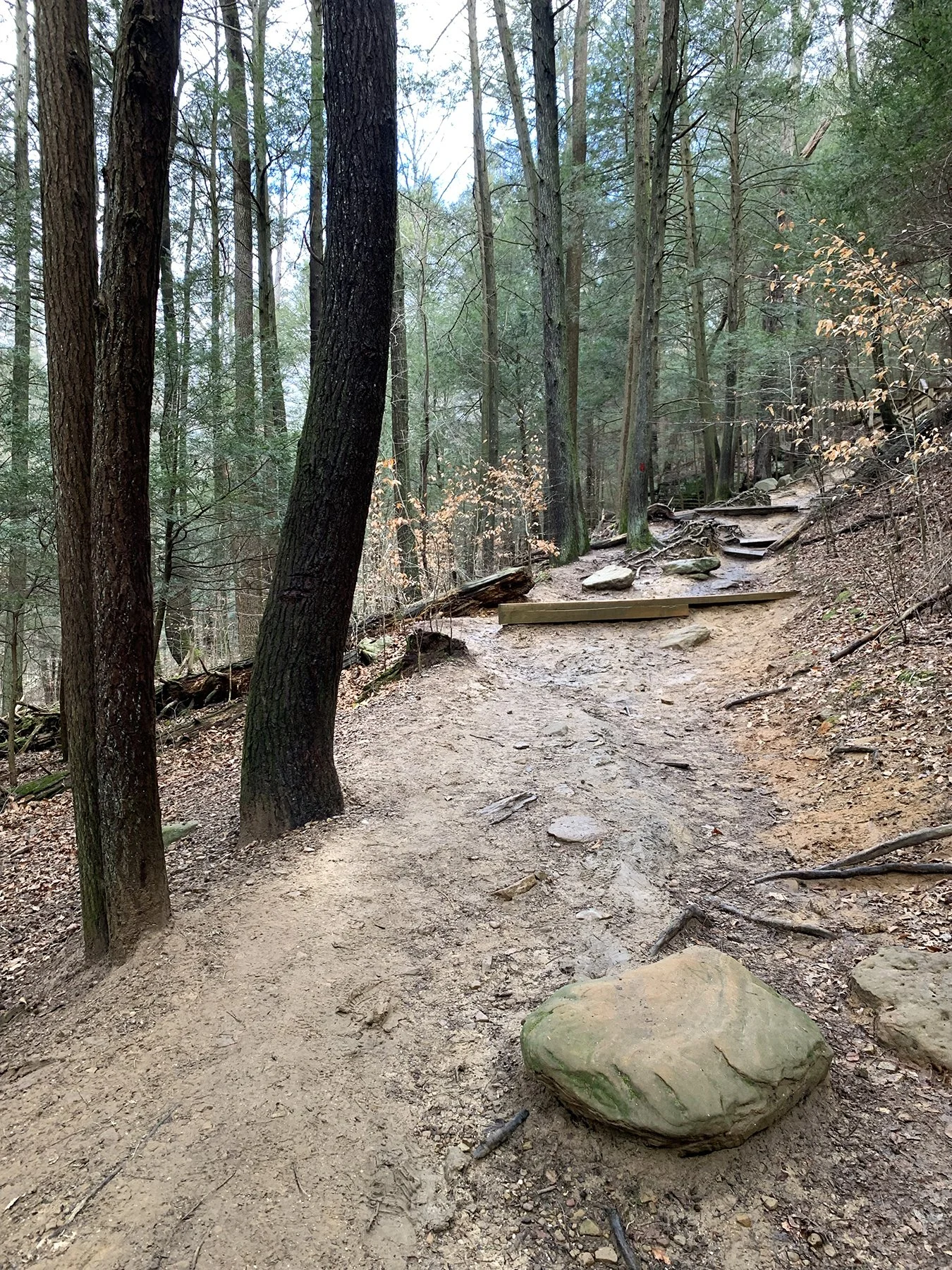 The upper east trail of Ash Cave.