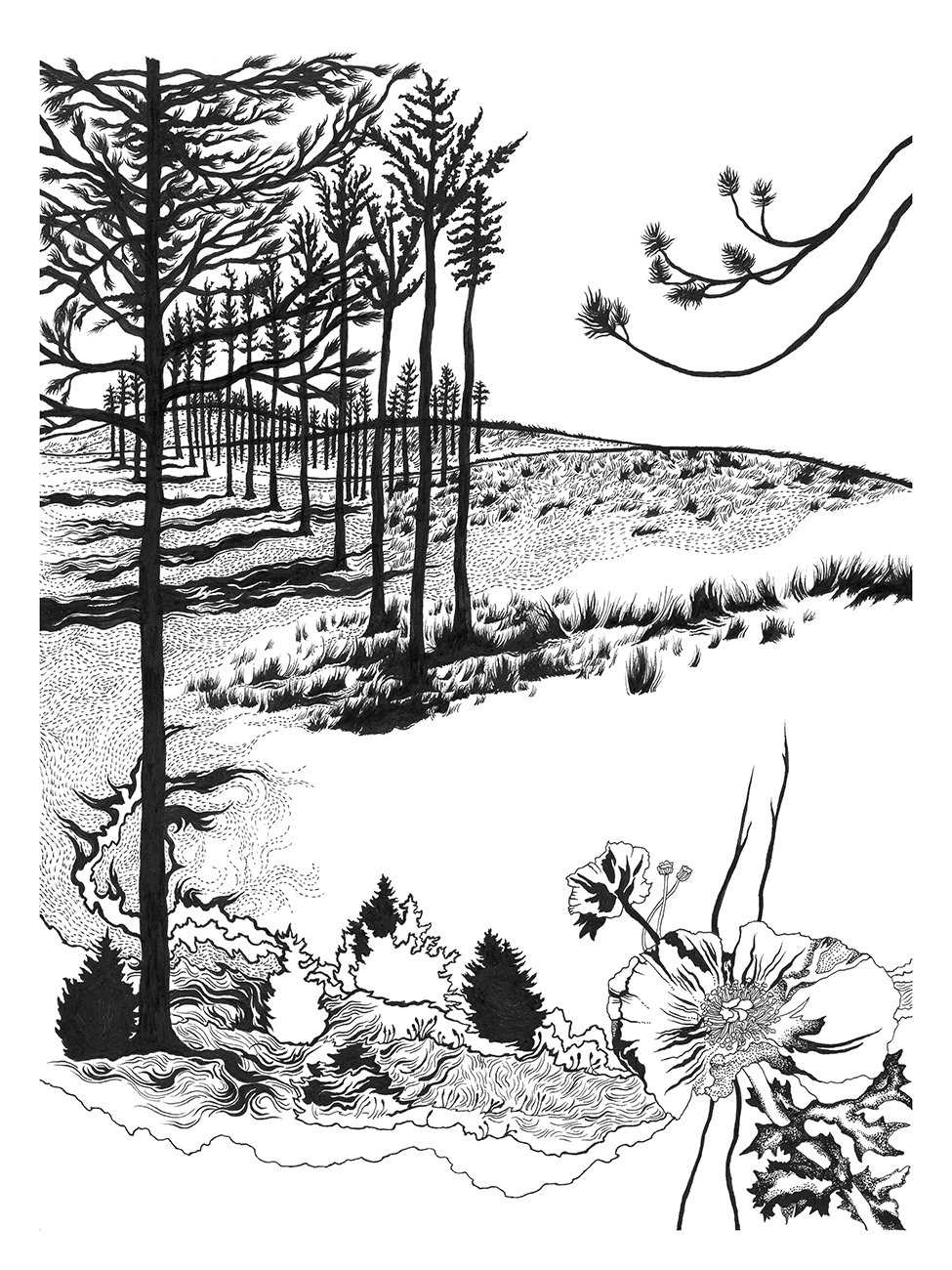NE-Handplanted-Forest-sm.jpg