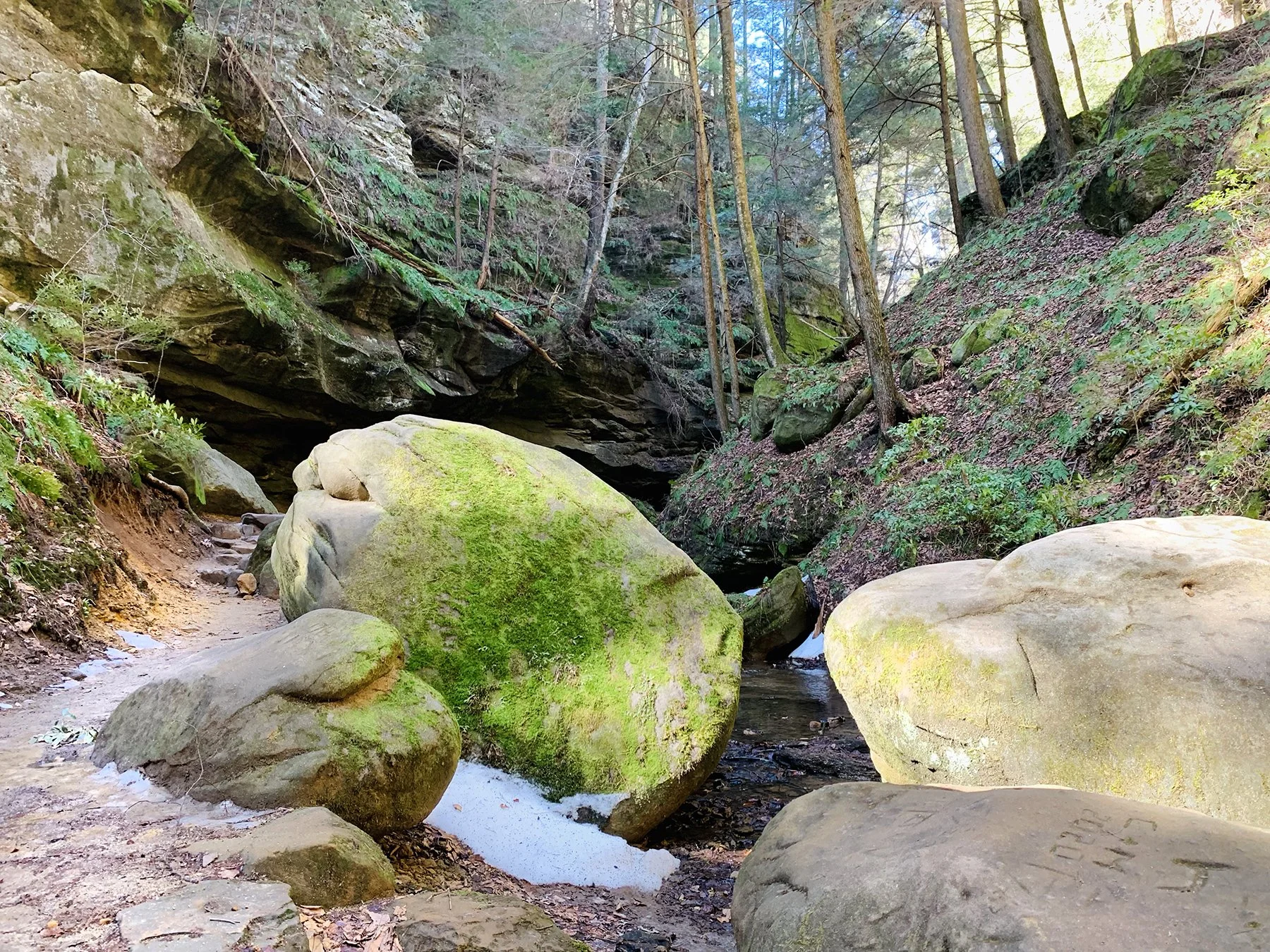 conkles-hollow-state-nature-preserve-mossy-rock.jpg