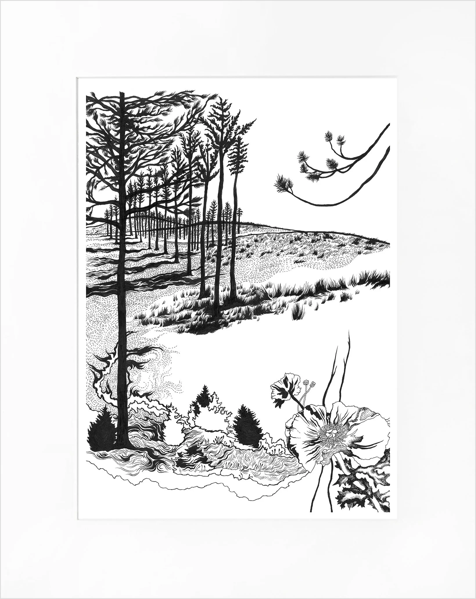 Karen-Kopacz-12x16-Nebraska-National-Forest.jpg