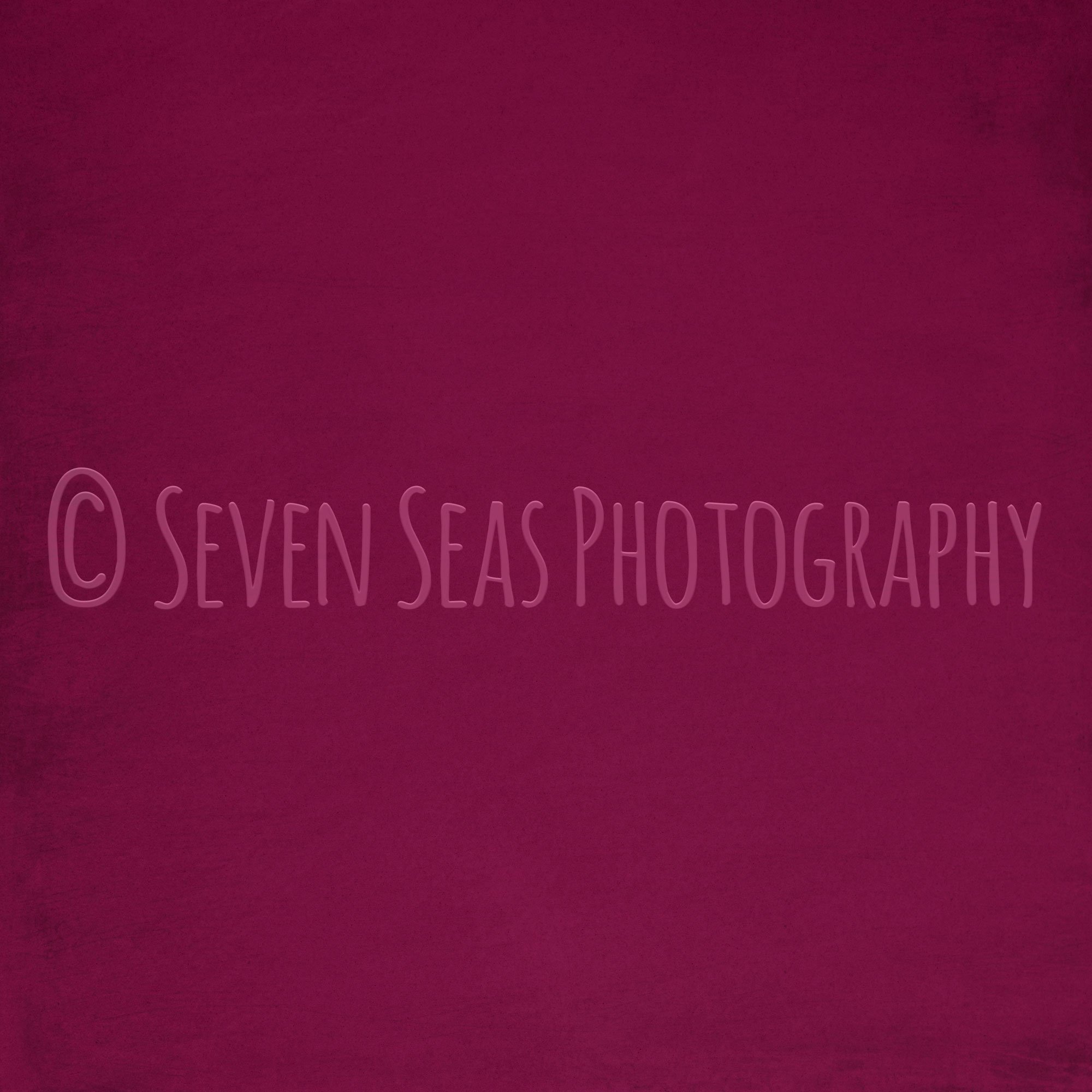 SSP_DarkRaspberry_t.jpg