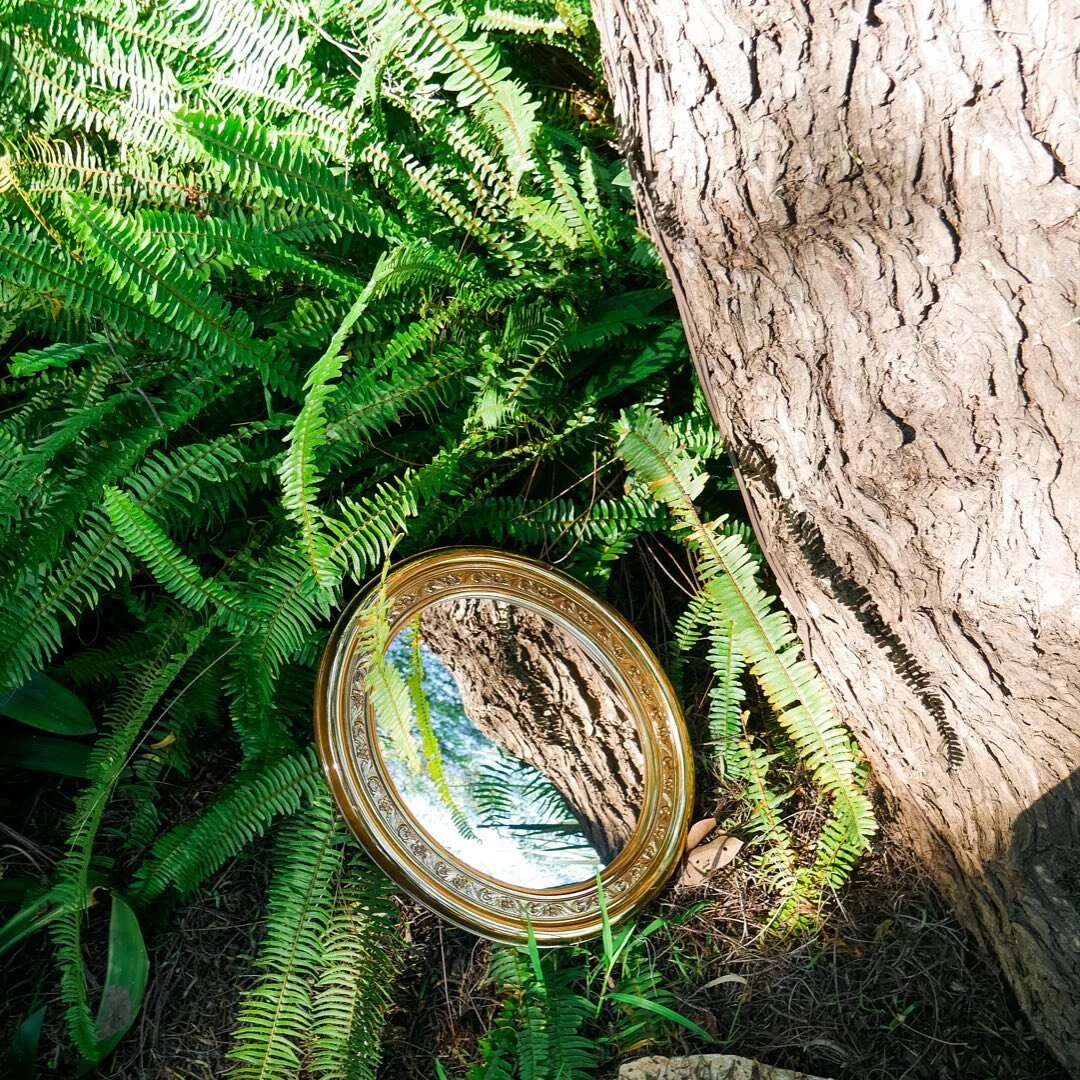 We are reflections of a divine light that energizes and moves through us all. Whether we choose to tap in and live from that perspective, or even allow that truth to unfold is all up to us!!​​​​​​​​
​​​​​​​​
Today eye am honoring my light by filling 