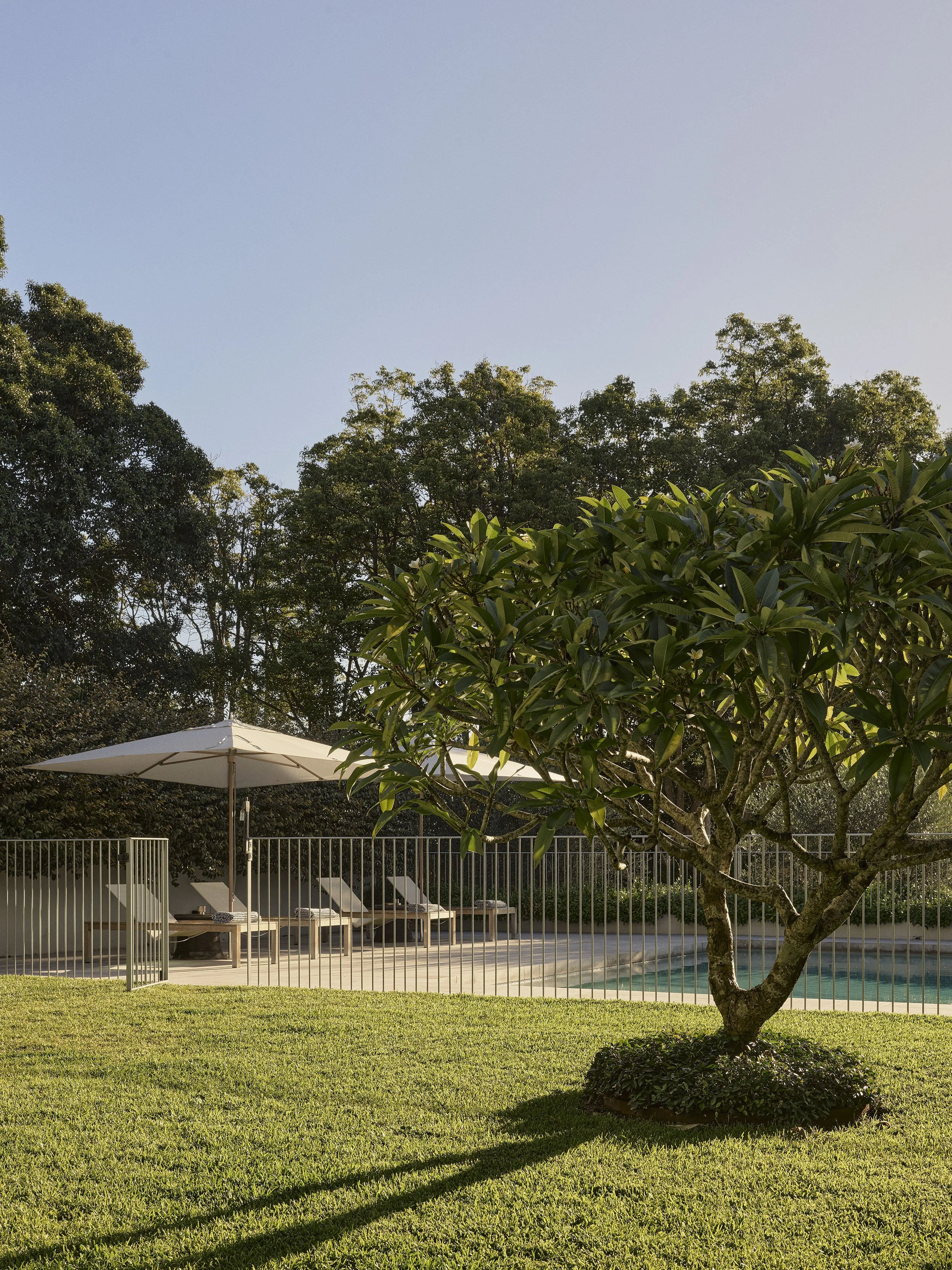 SARAH_GRICE_BELLEVUE_HILL_040426_0064 1.jpg