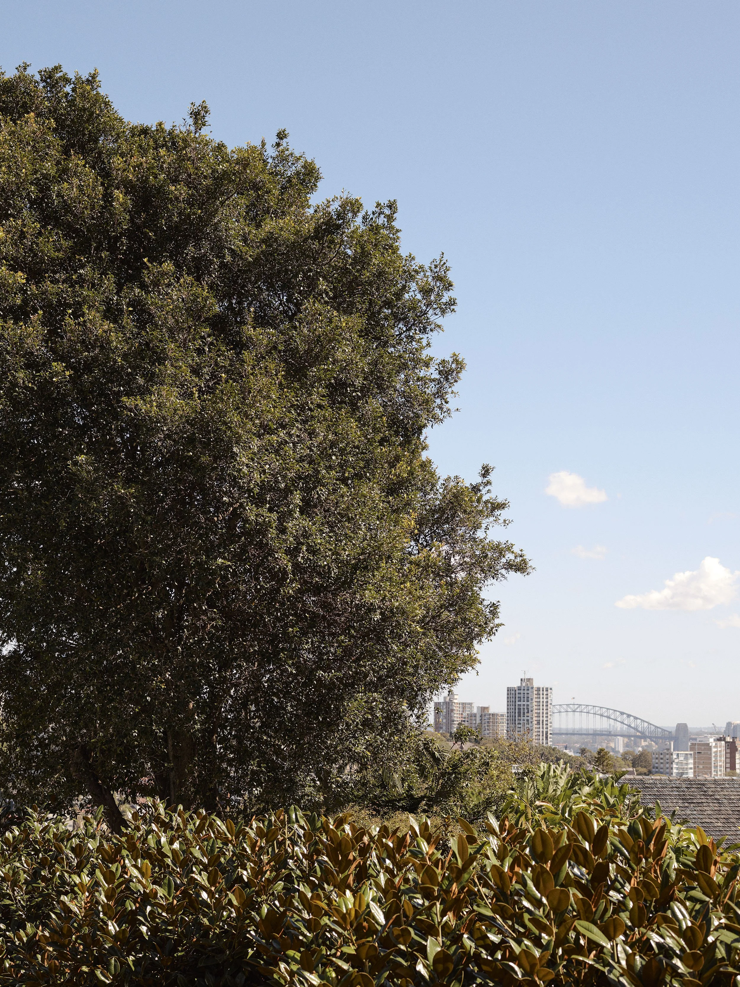 SARAH_GRICE_BELLEVUE_HILL_040426_0032.jpg