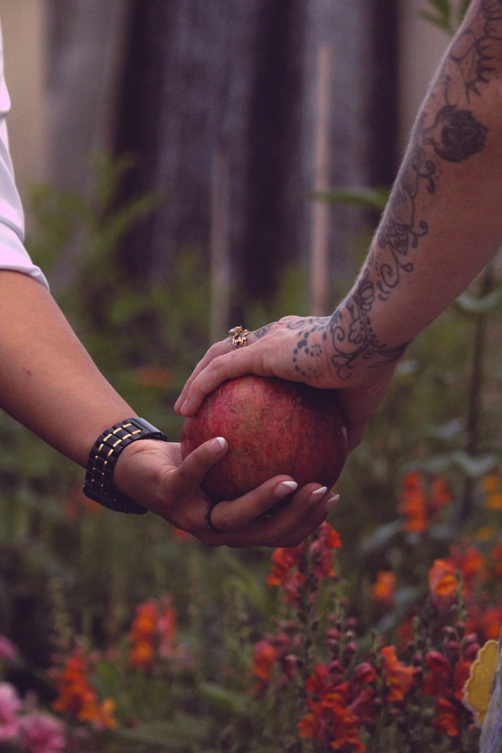 IMG_0230.jpg