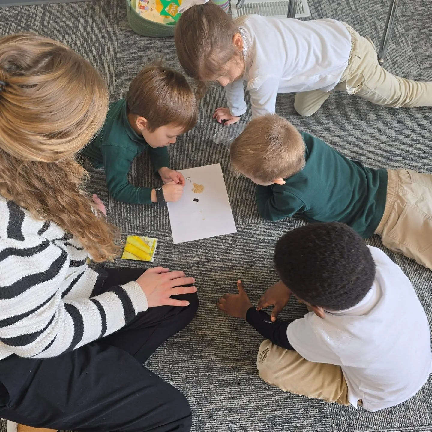 🌻SEEDS🌻 For show-and-tell this week, Jr. Kindergarteners brought seeds. They compared the various colors, shapes, and sizes. This gentle introduction to science encourages wonder for the glorious world God has made. And just like these seeds, we wi