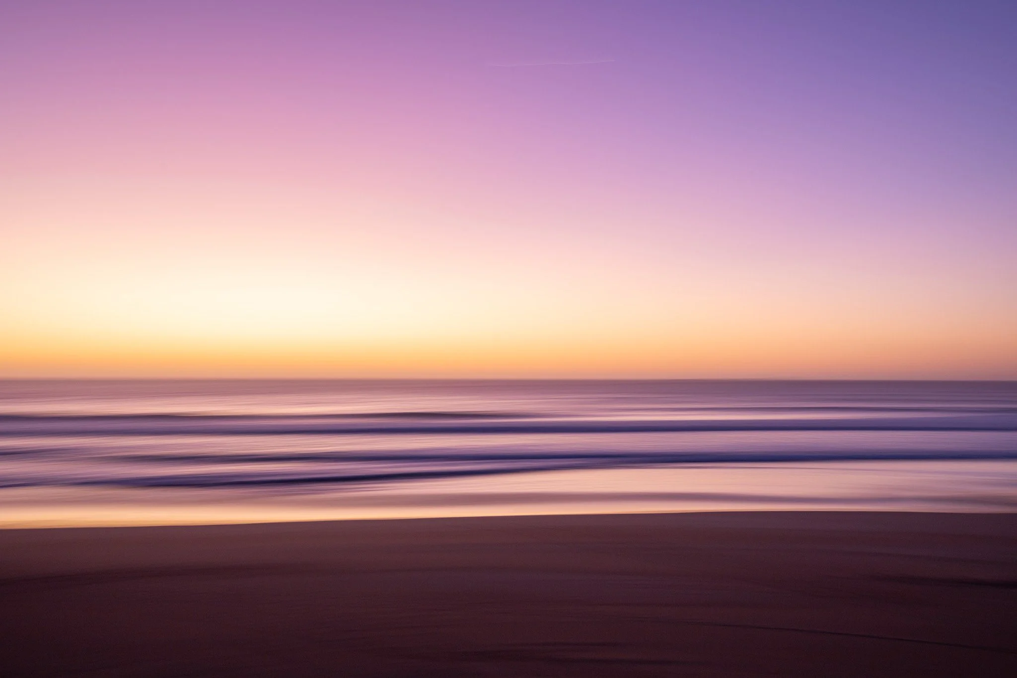 Canva (8).jpg