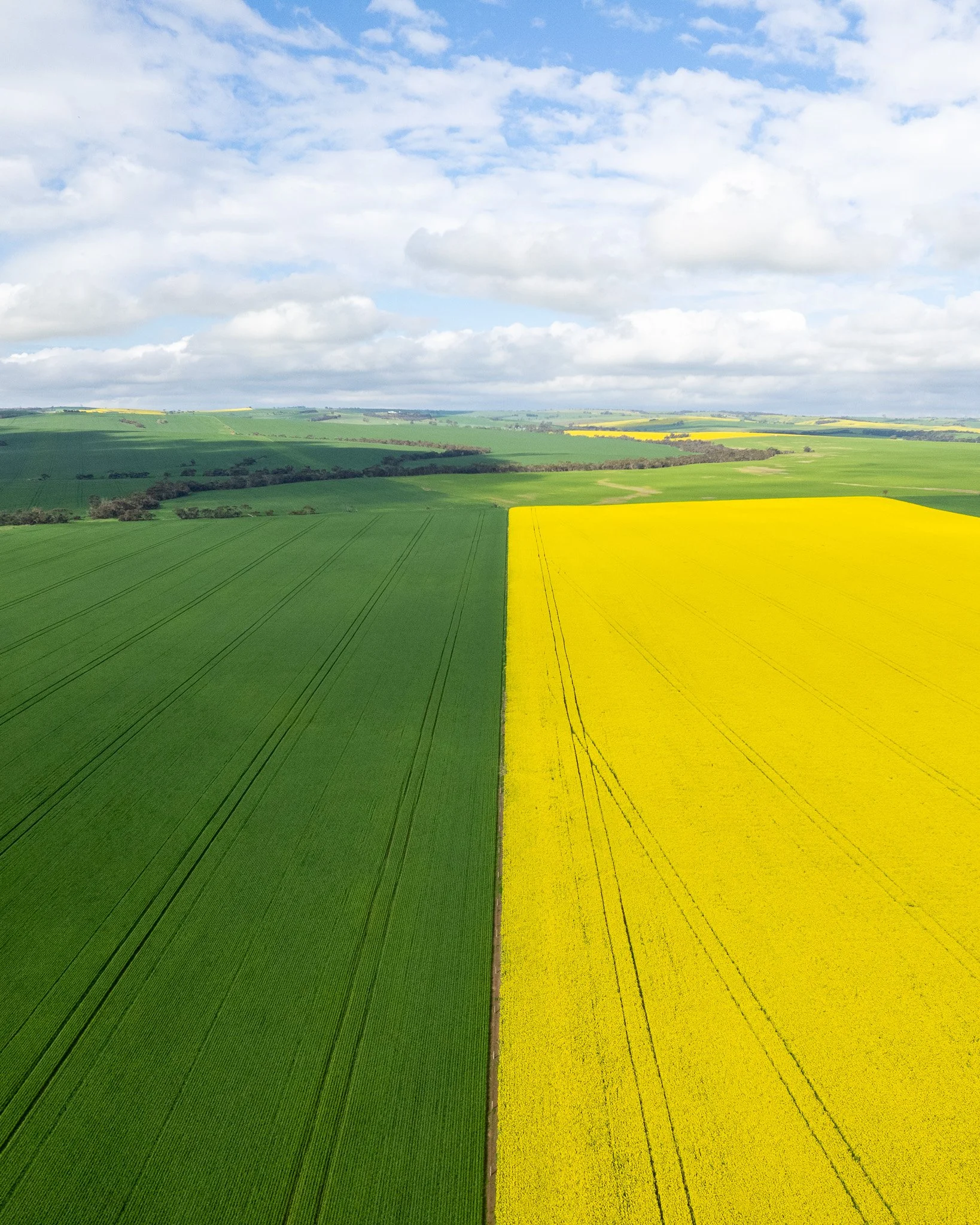 DJI_0058.jpg